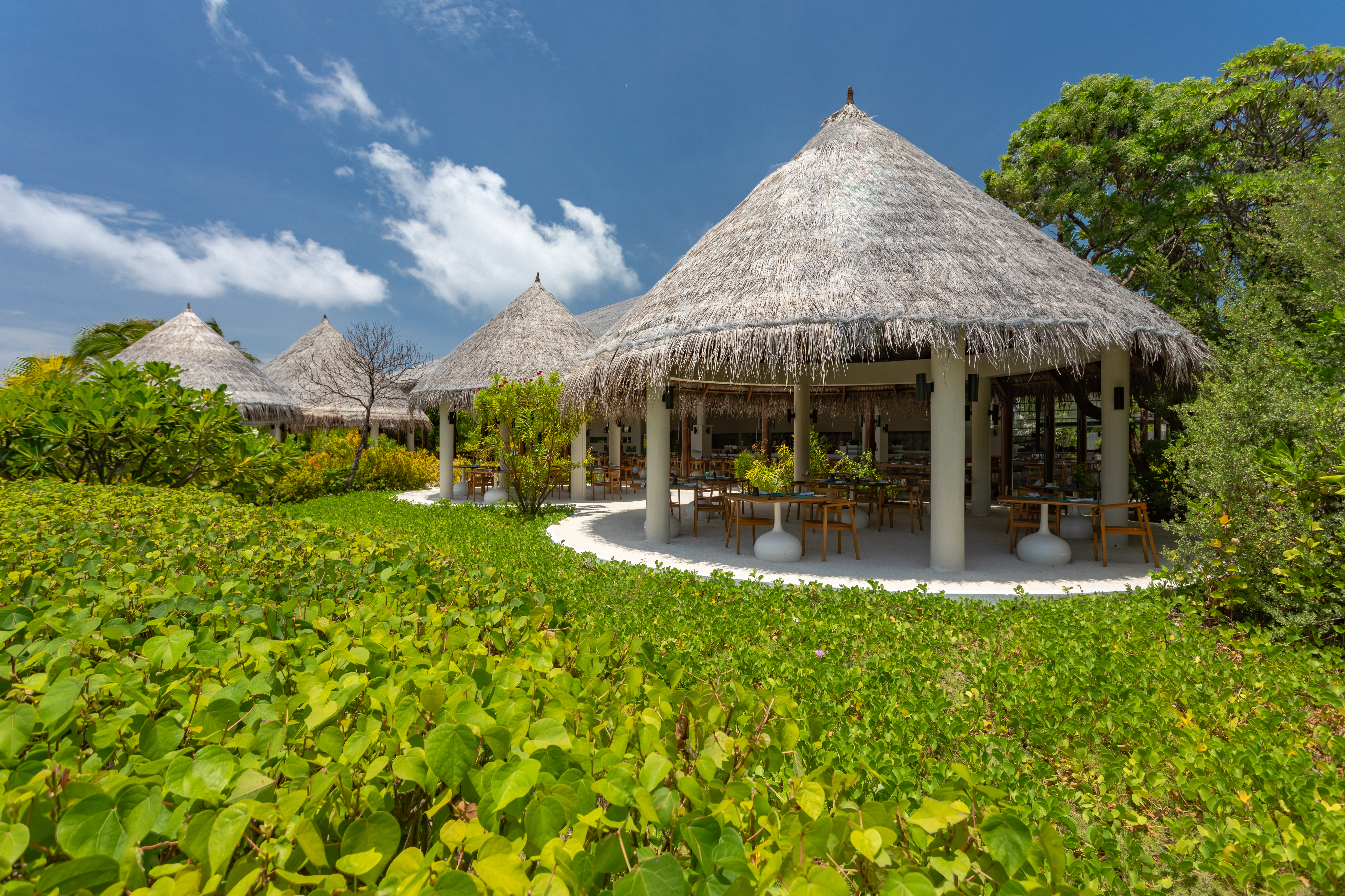 Cocoon Maldives – tropischer Resortbereich