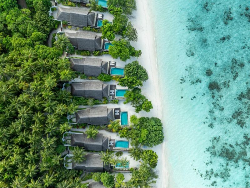 Dusit Thani Maldives – Beach Villas in tropischem Grün