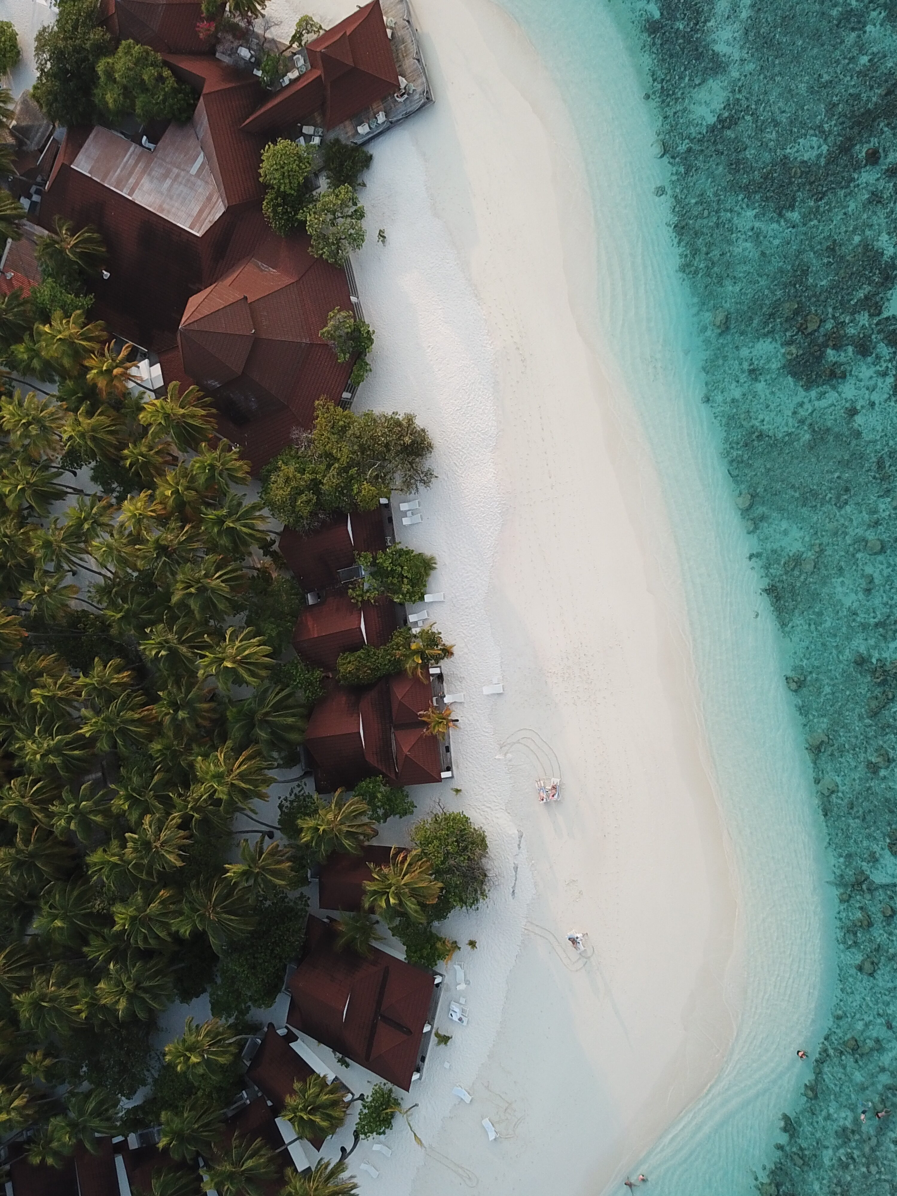 Junior-Suite auf der Sandbank - Bild 1