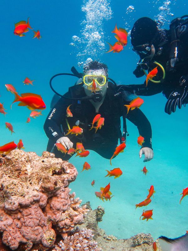 Diving
