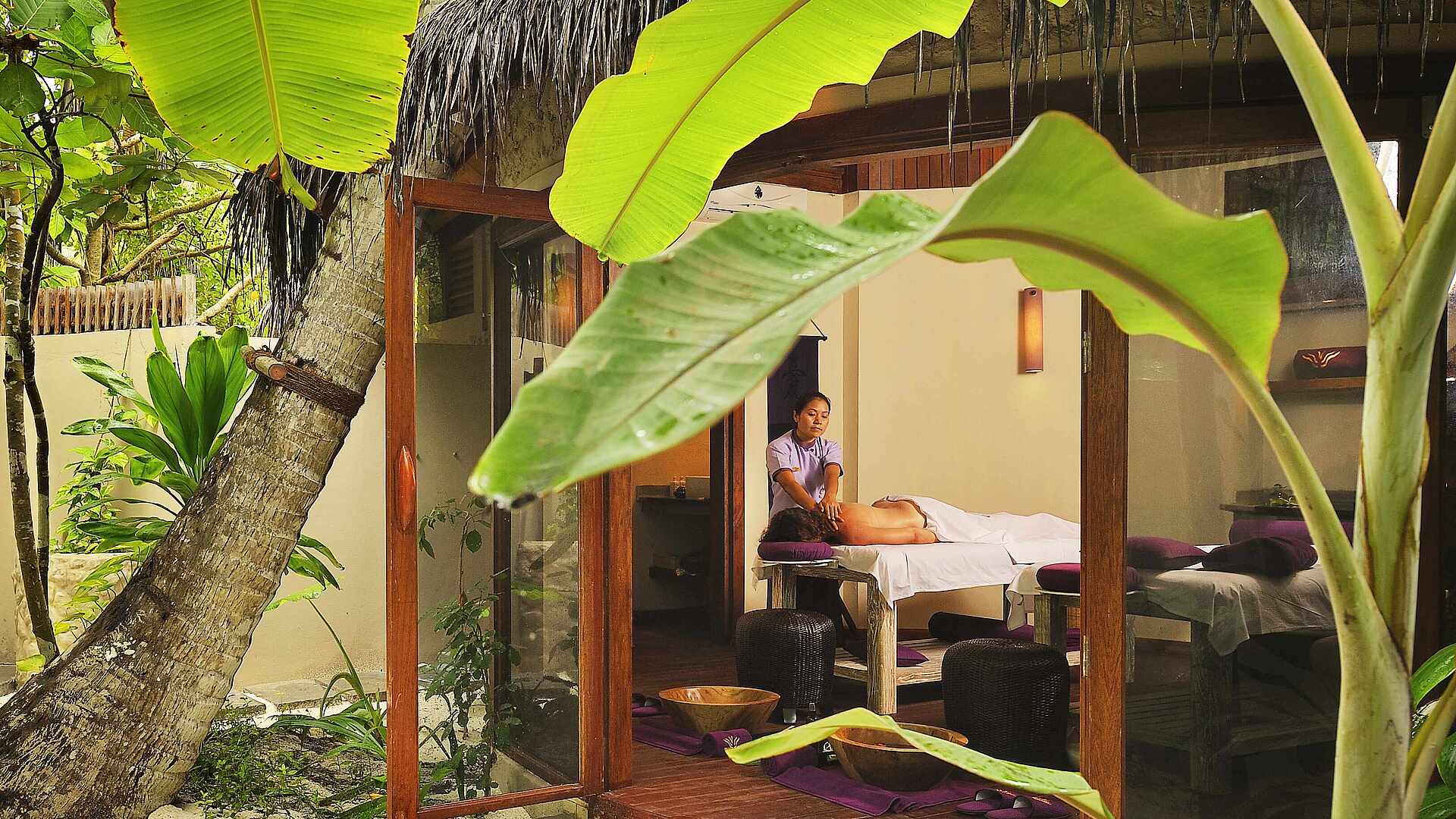 WellFit-Spa
