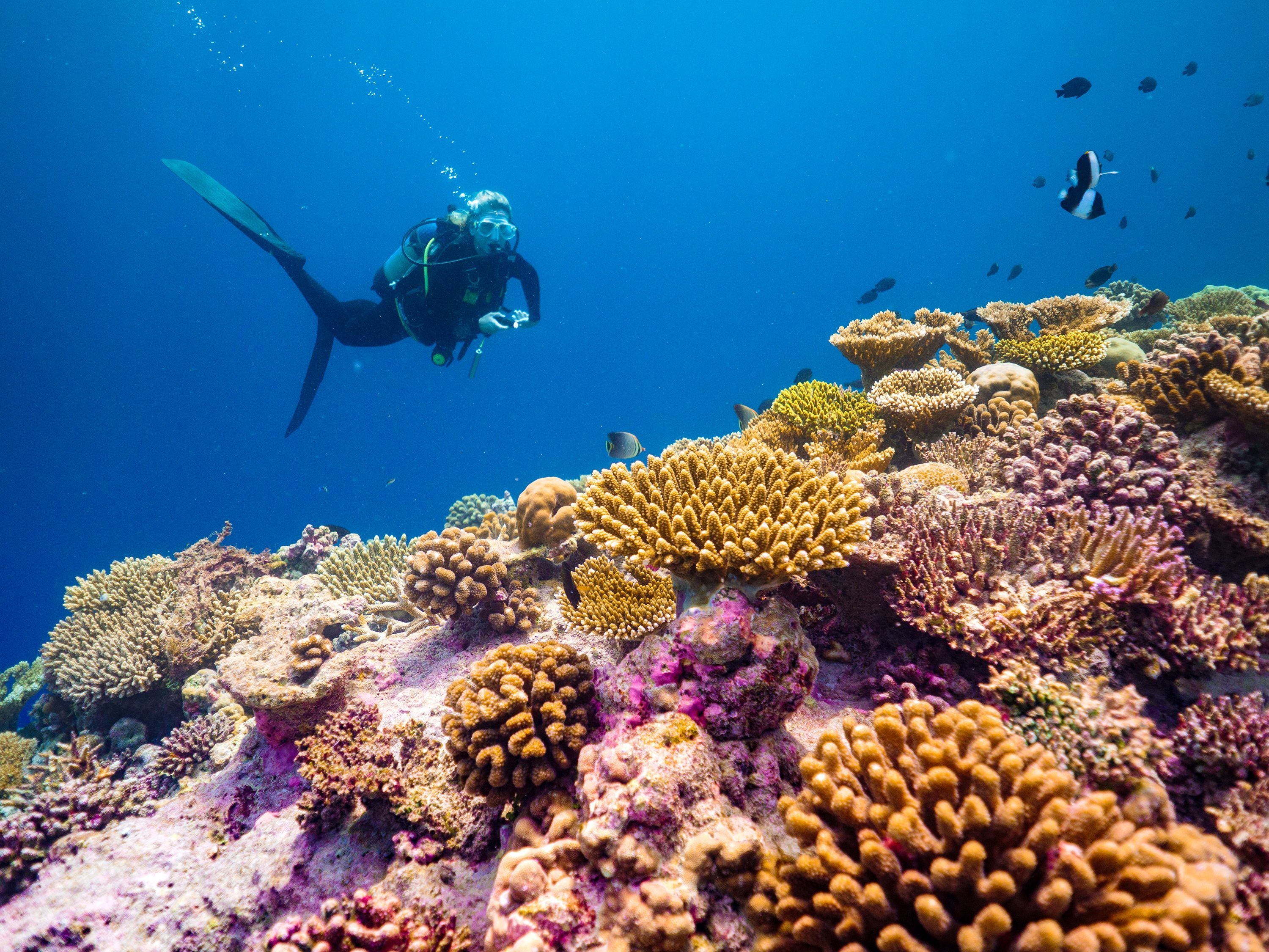 Maagau Dive Centre