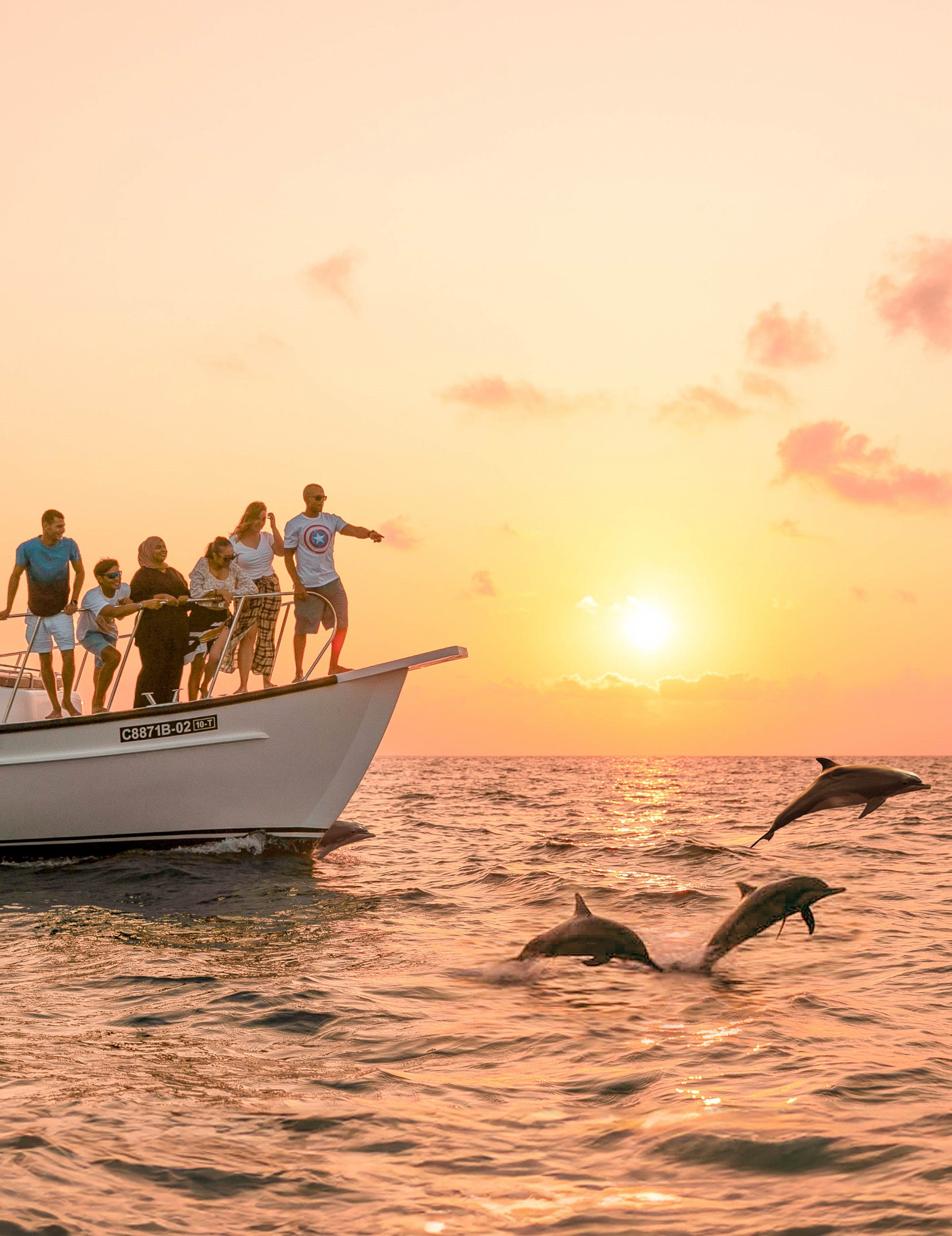 Delfin-Kreuzfahrt bei Sonnenuntergang