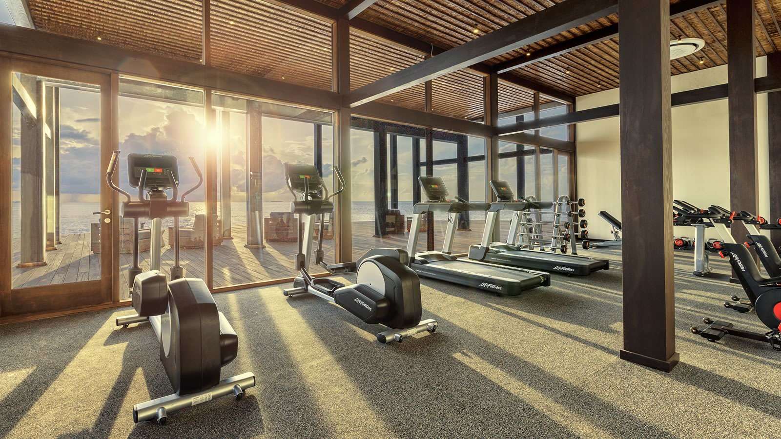 Fitness & Personal Training