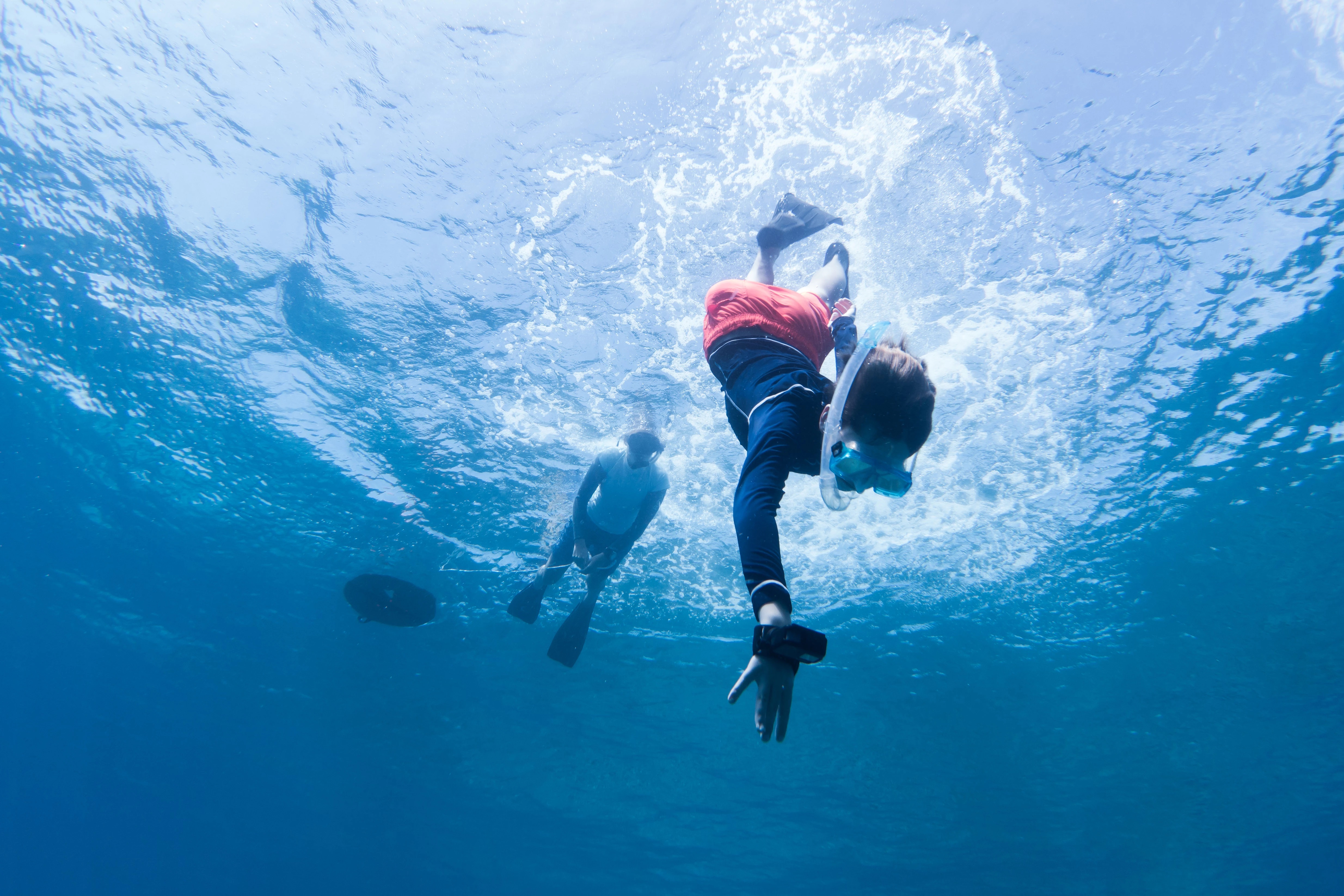 Junior-Marinebiologie