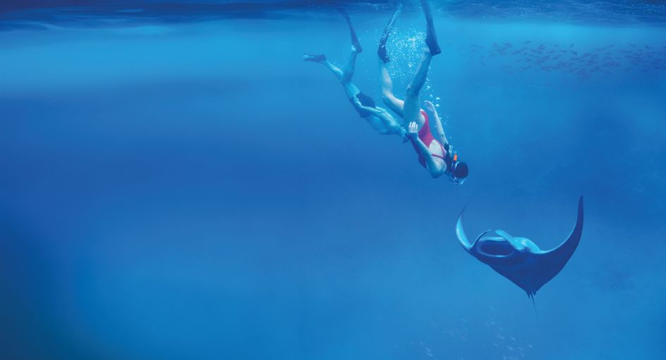Schnorcheln mit Mantarochen