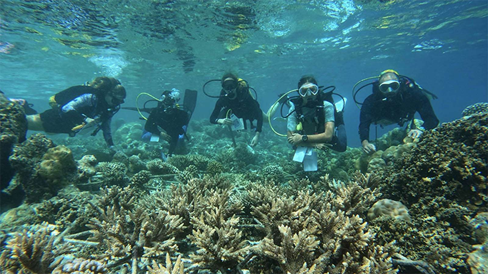 Marine Biology Center