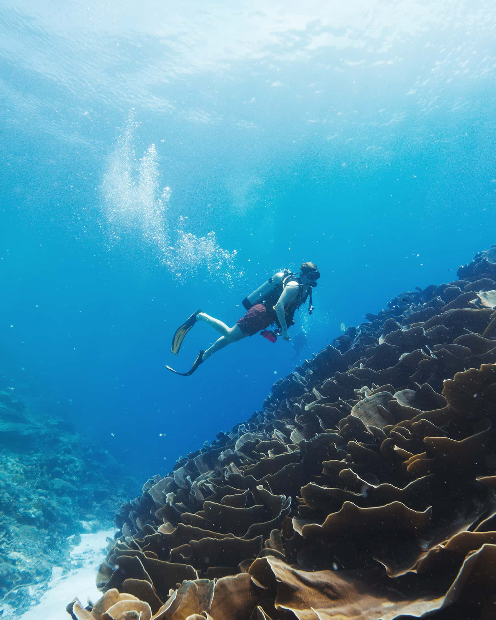 PADI Open Water Diver