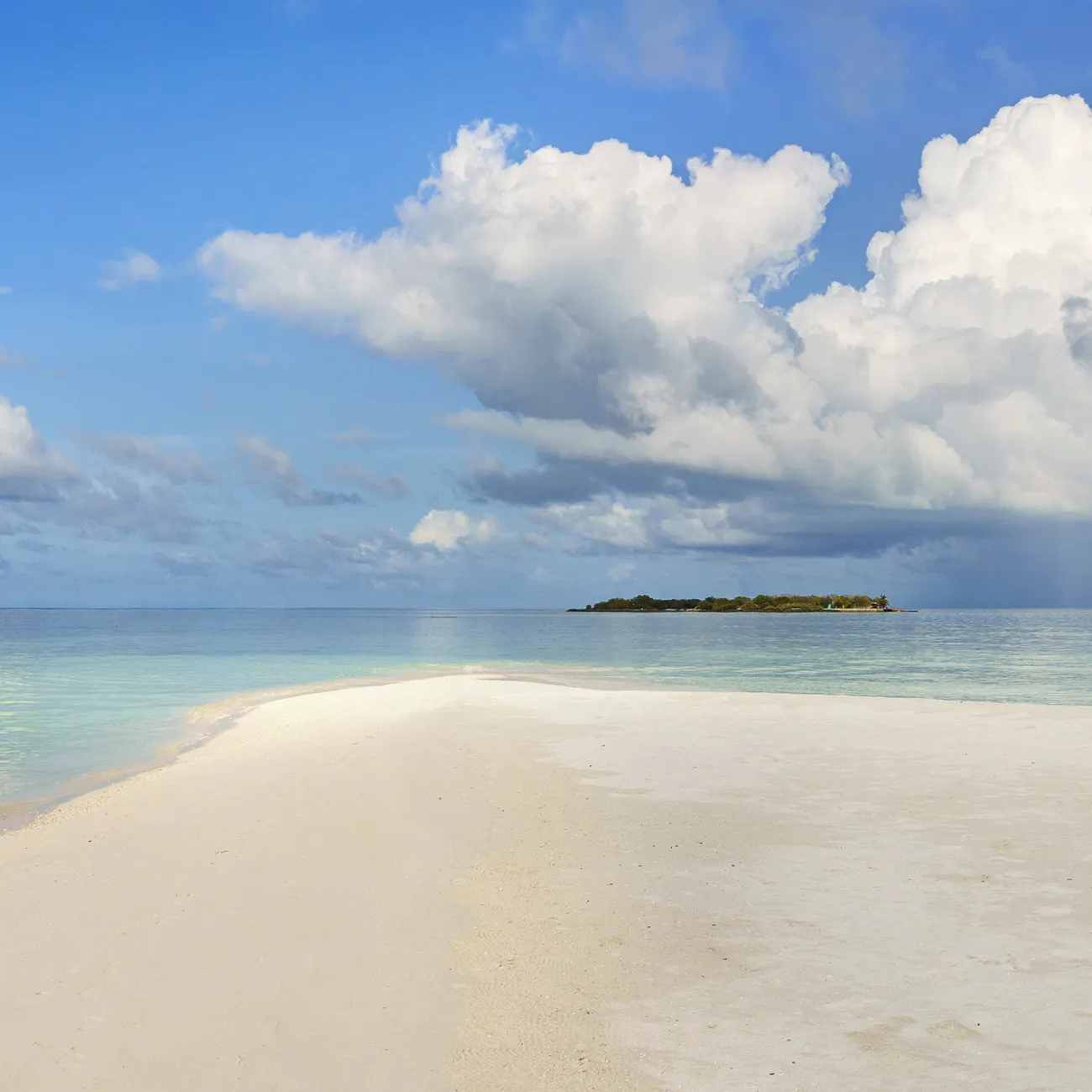 Sandbank Experience