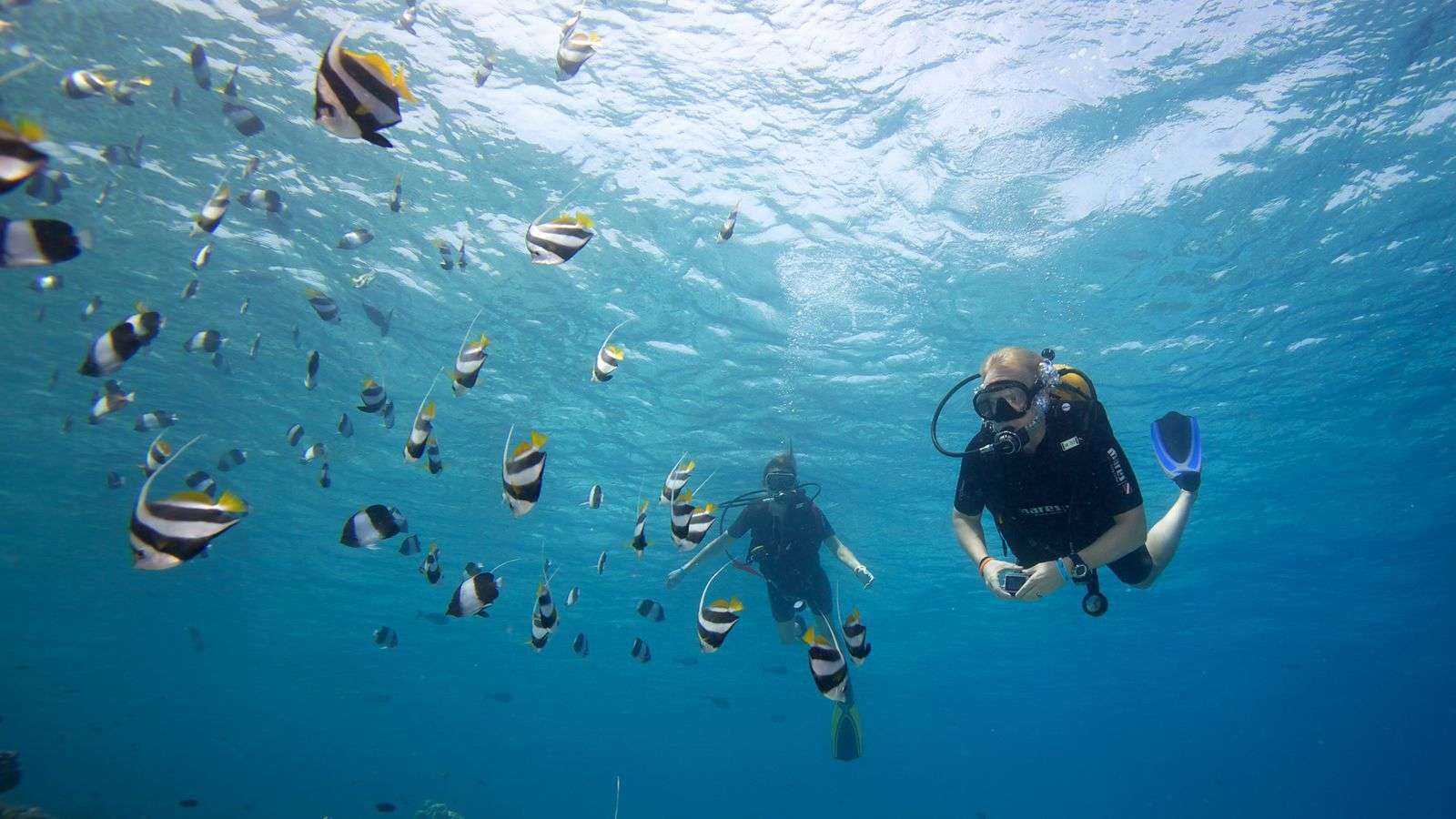 Tauchen mit Prodivers