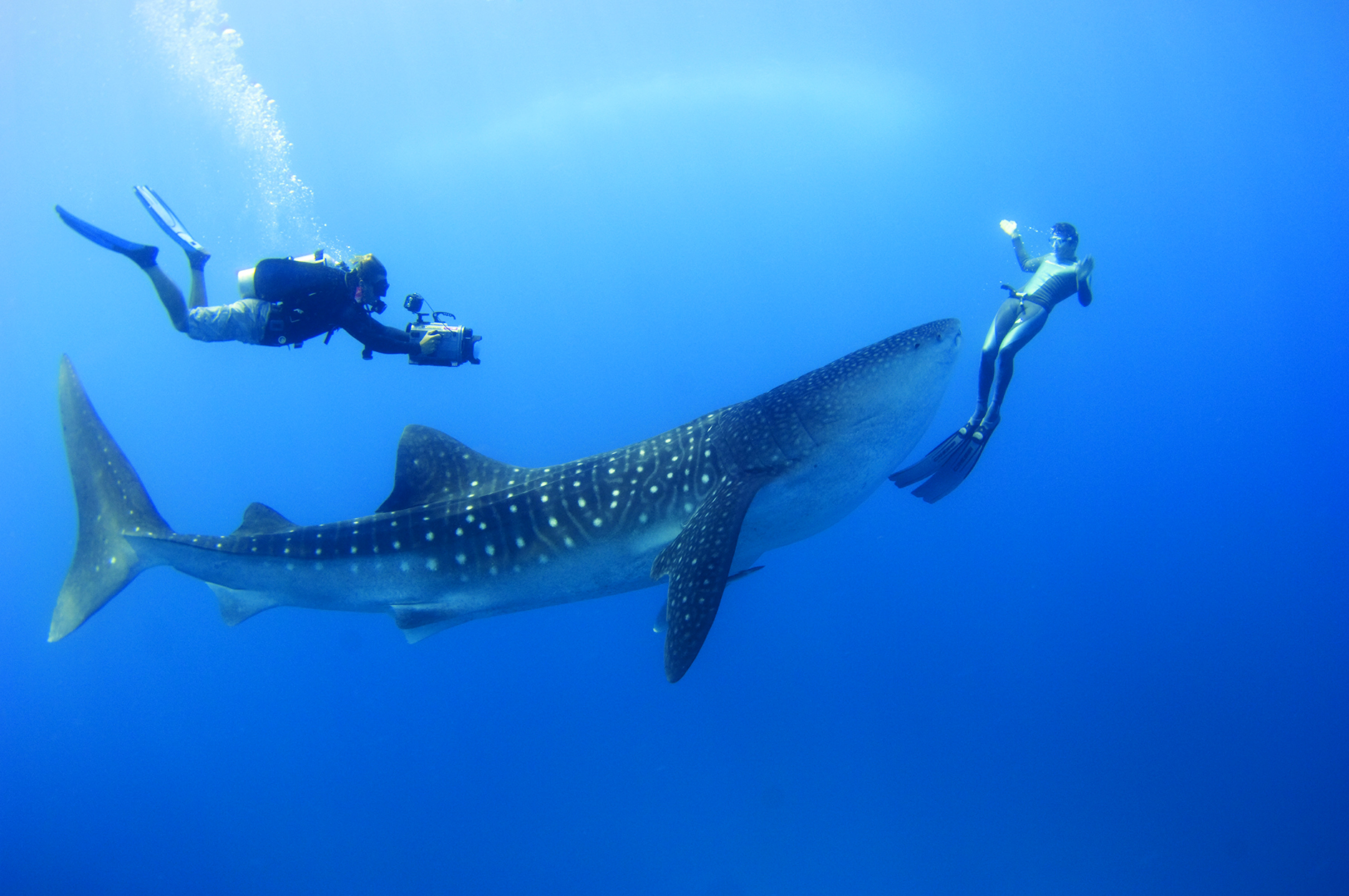 Tauchen im Baa Atoll