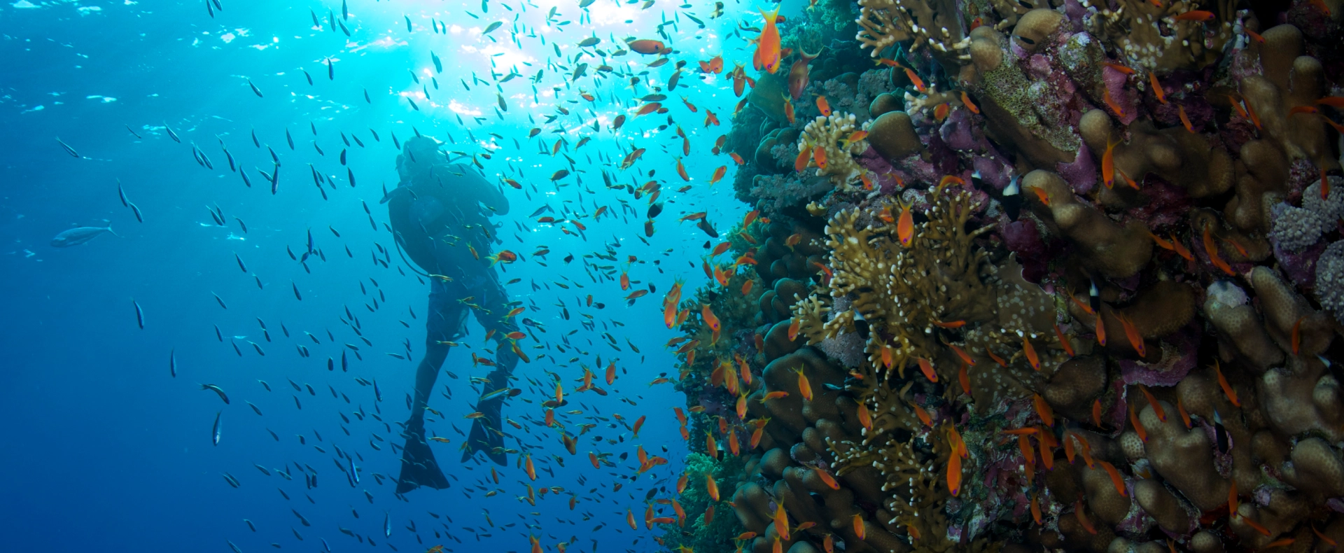 Tauchen und Schnorcheln im Baa-Atoll
