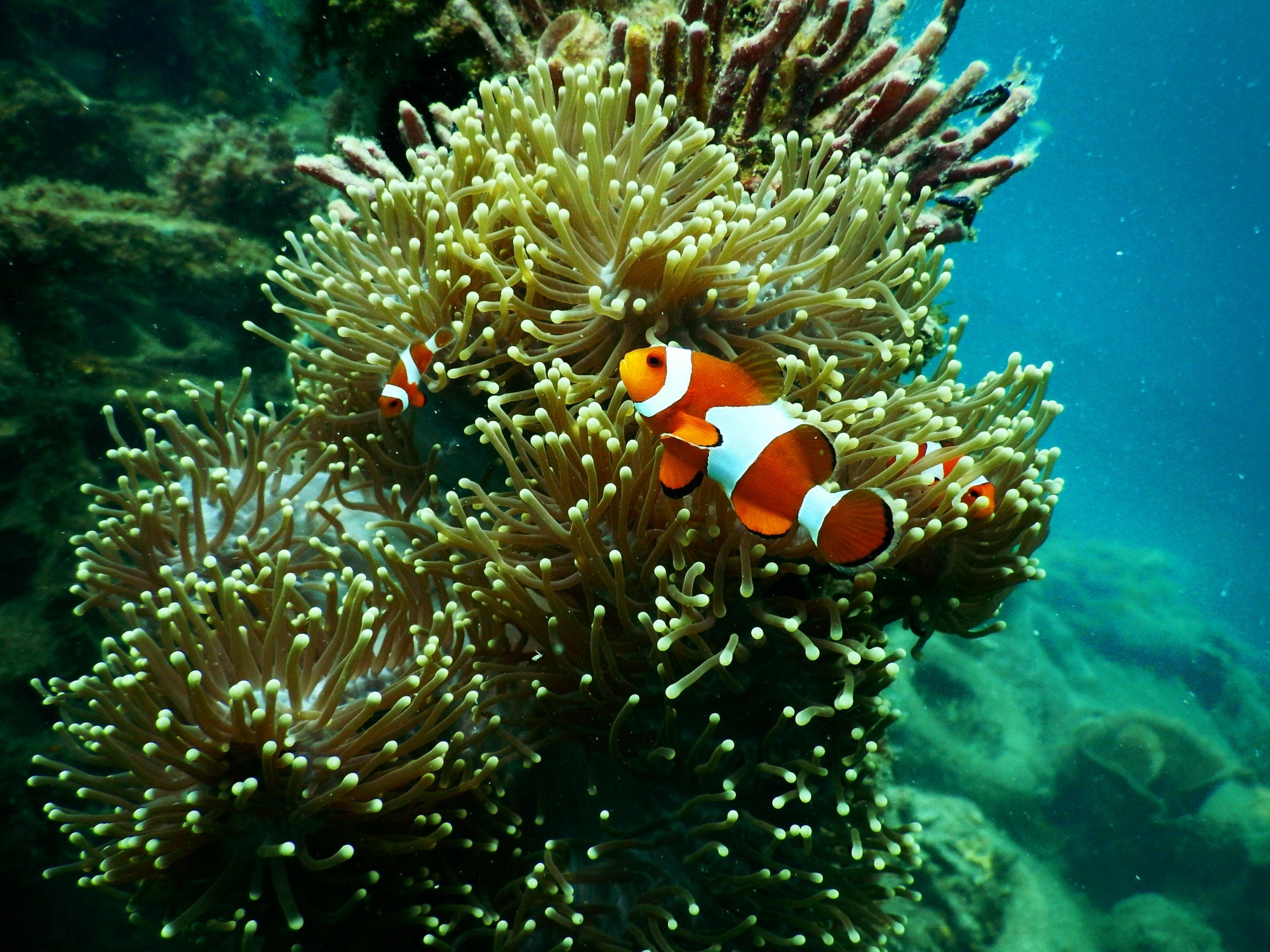 TGI Diving Centre