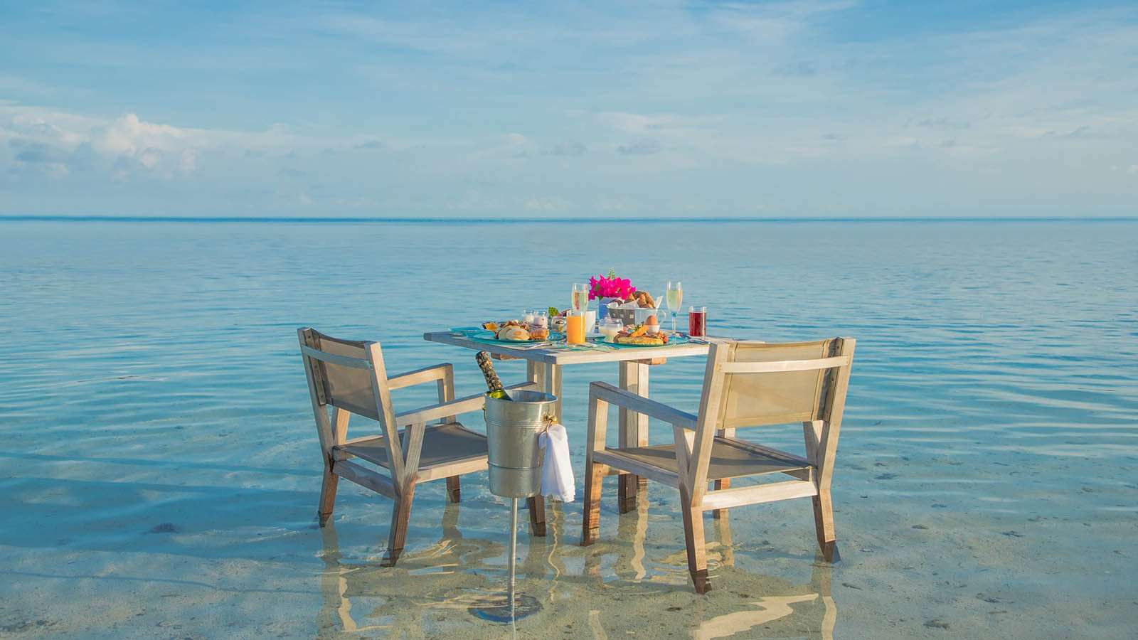 Breakfast in the Sea