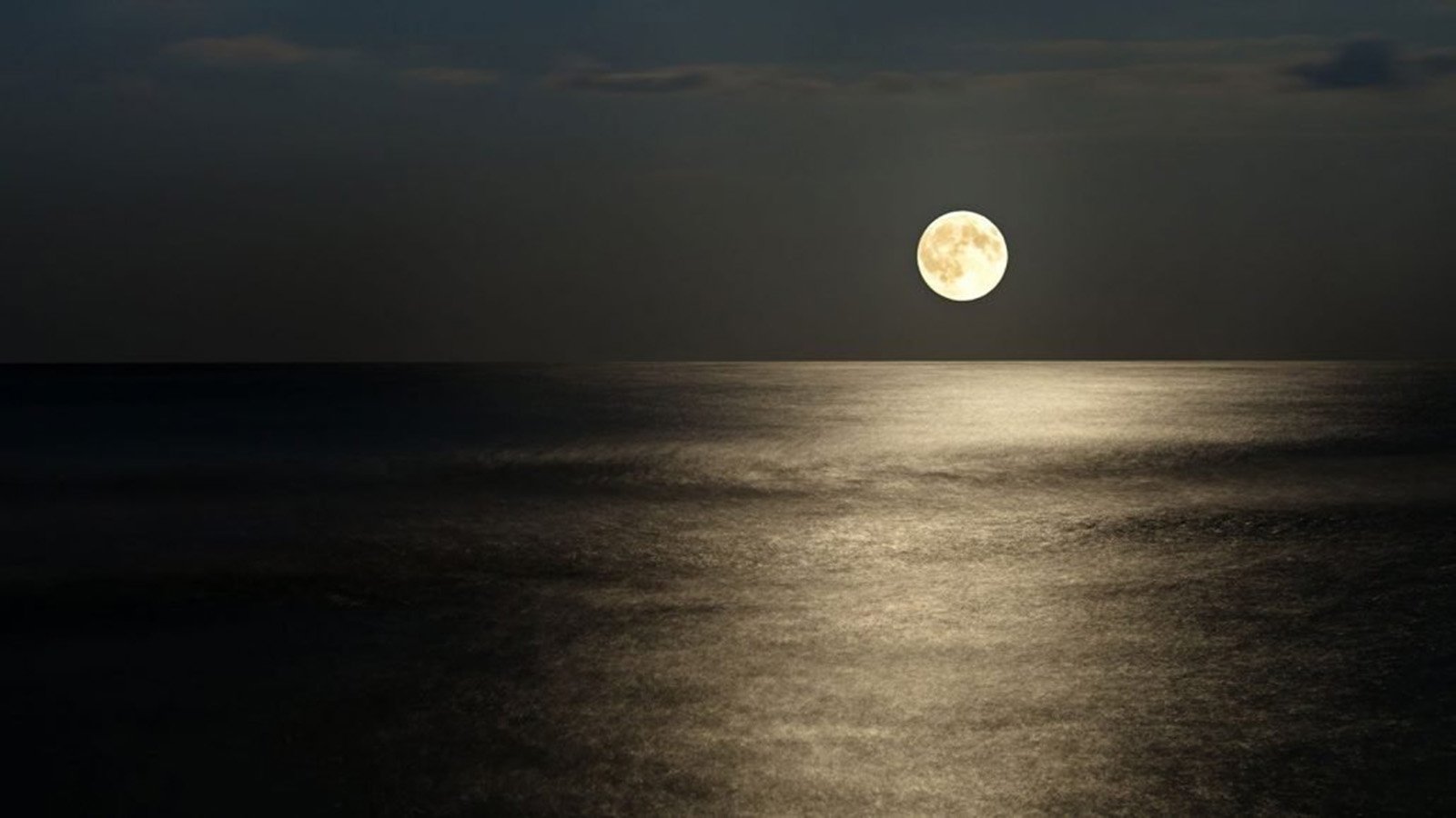Full Moon Dinner