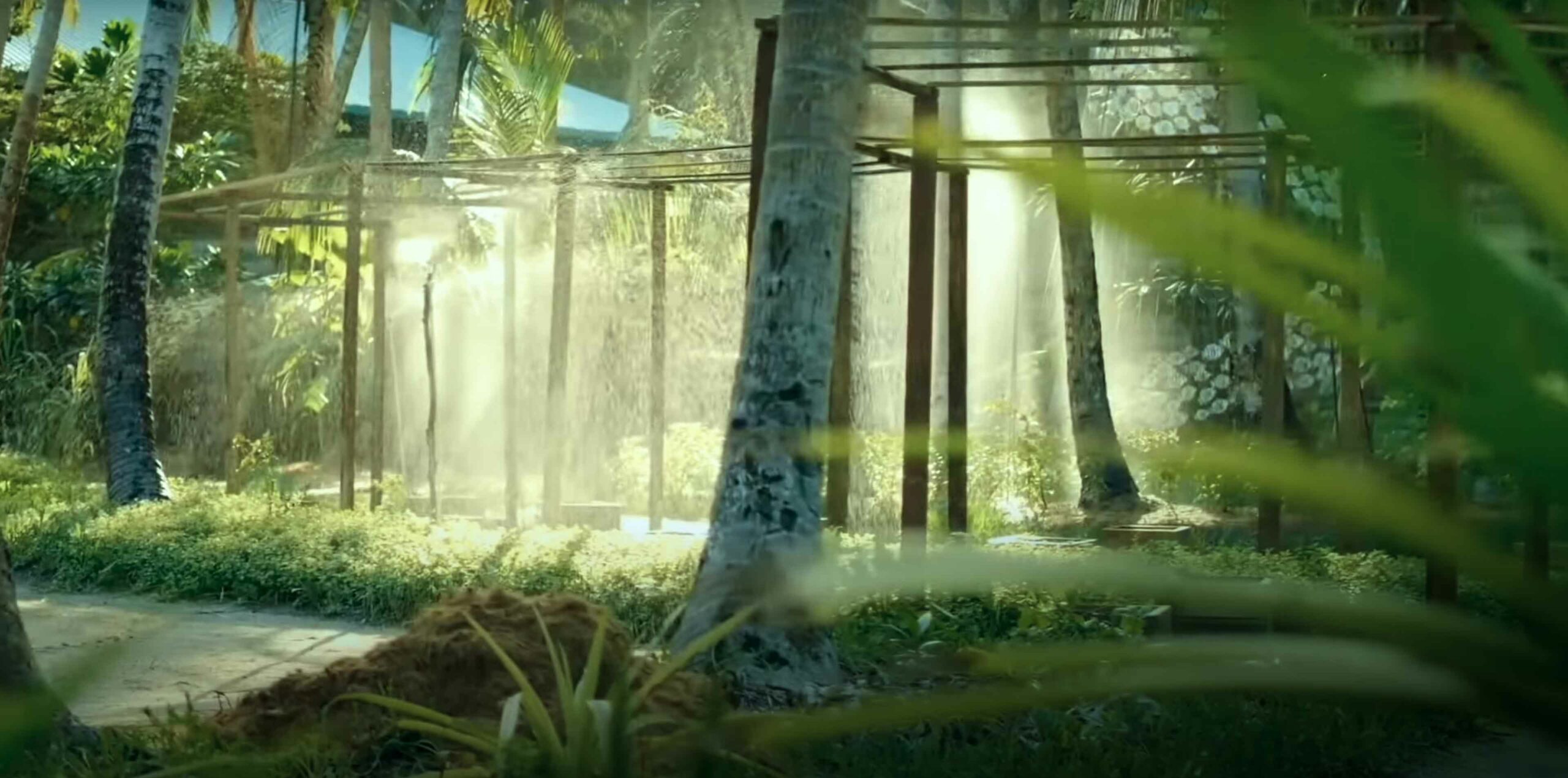 Mystique Garden