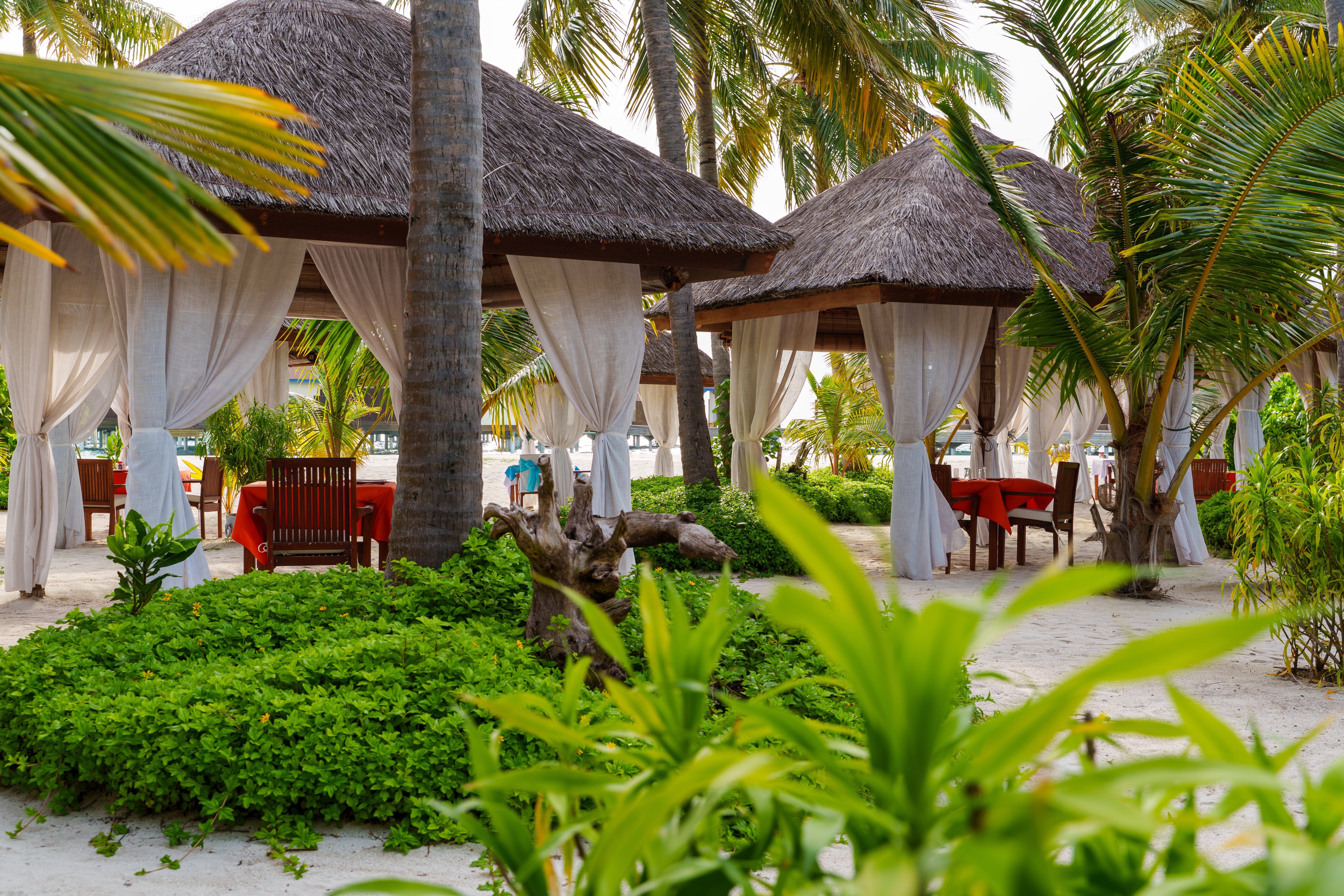 Reethi Grill
