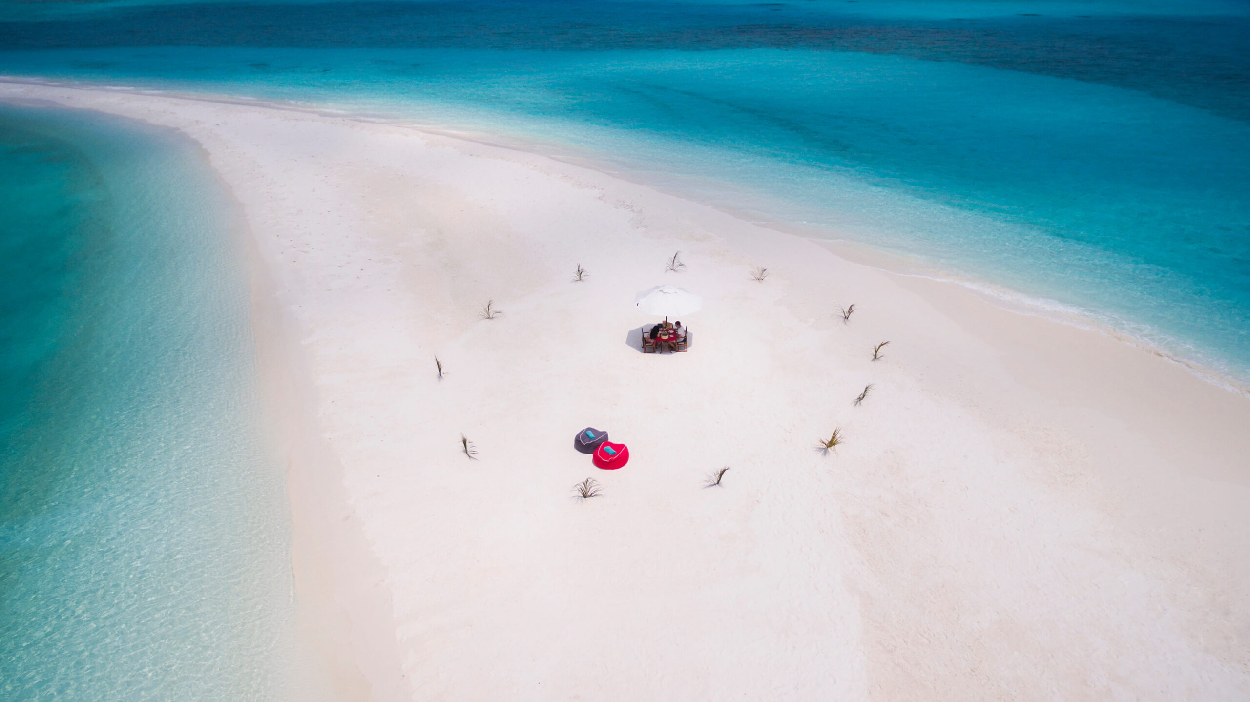 SANDBANK LUNCH