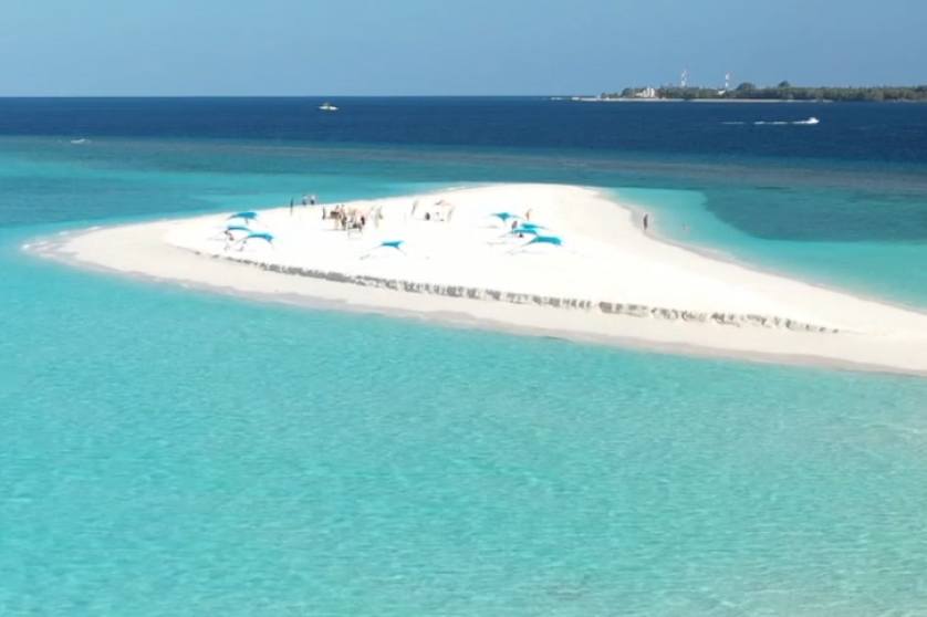 Sandbank Picnic