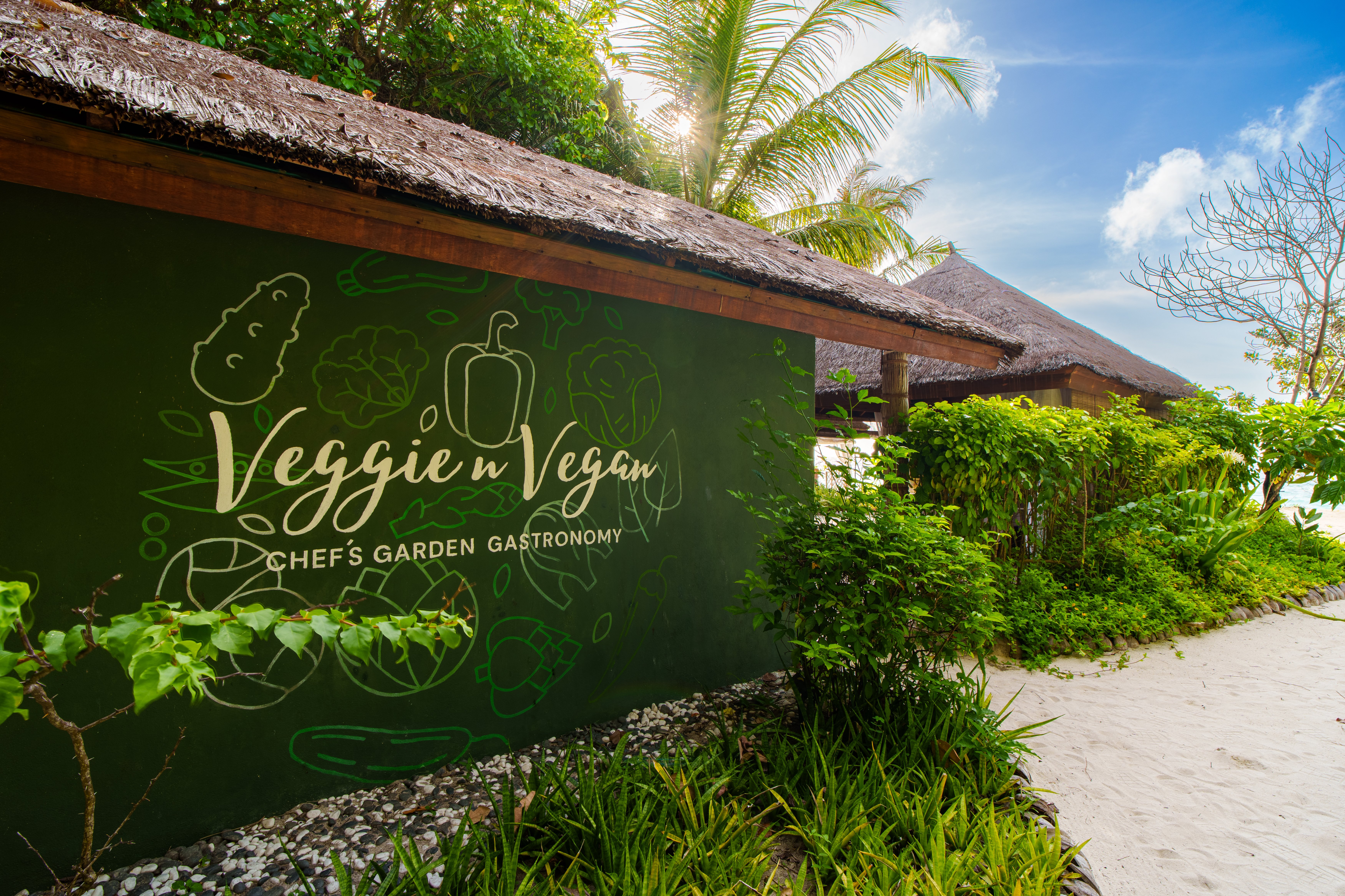 Veggie ‘n’ Vegan
