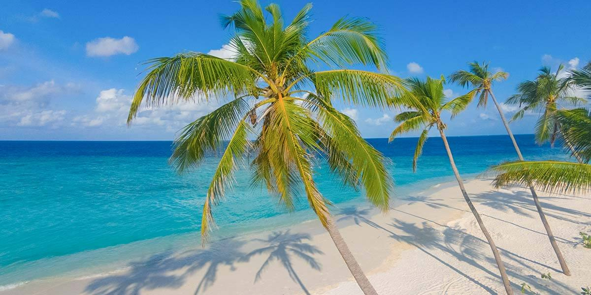 Milaidhoo-Galeriehighlight 2