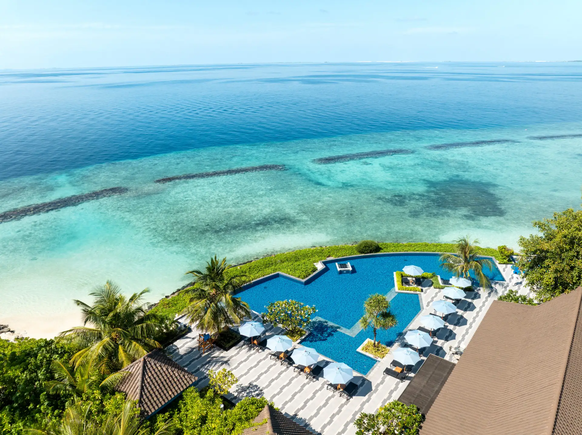 SunRay – Social & Swim Club
