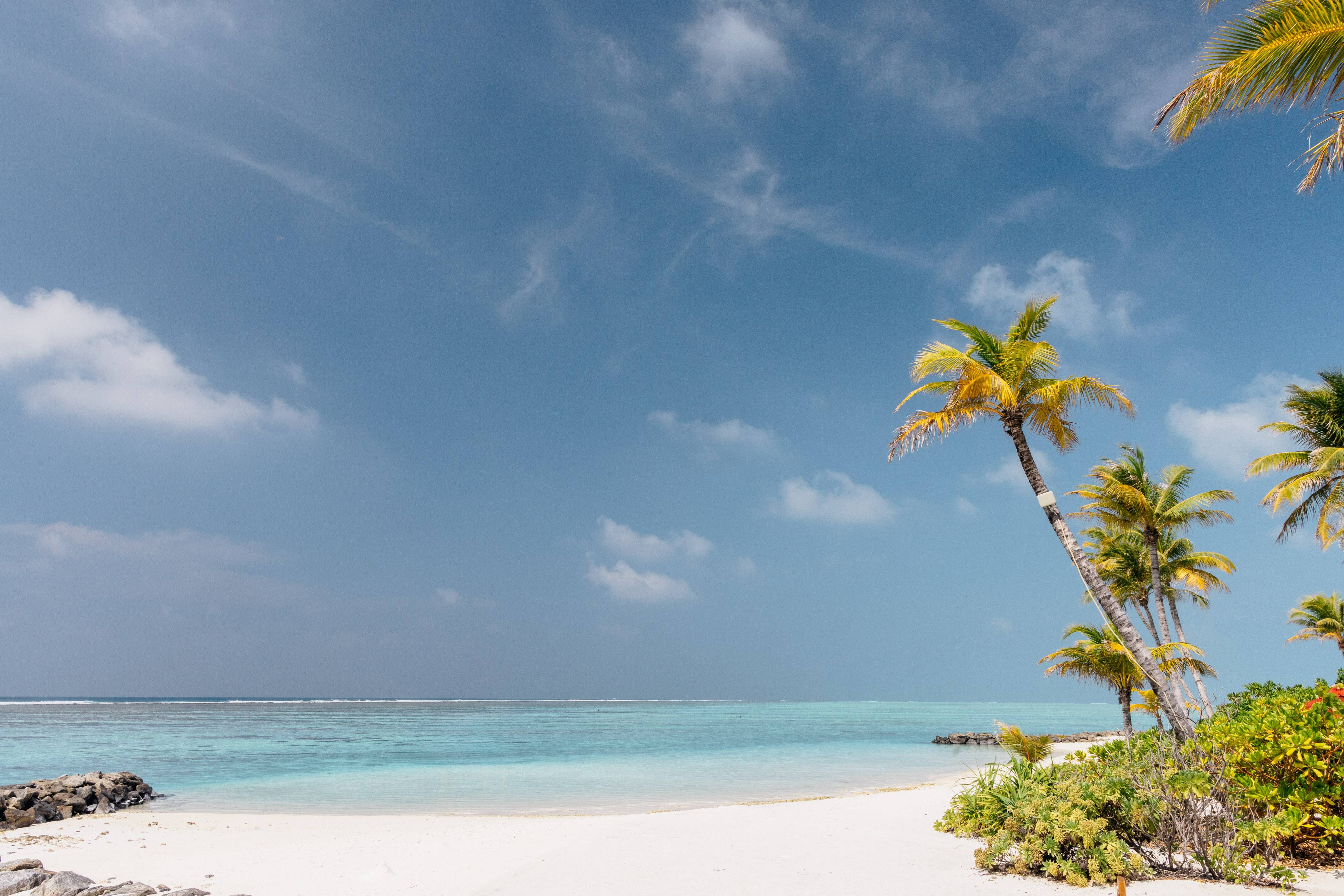 Meliá Whale Lagoon Maldives – Palmenstrand