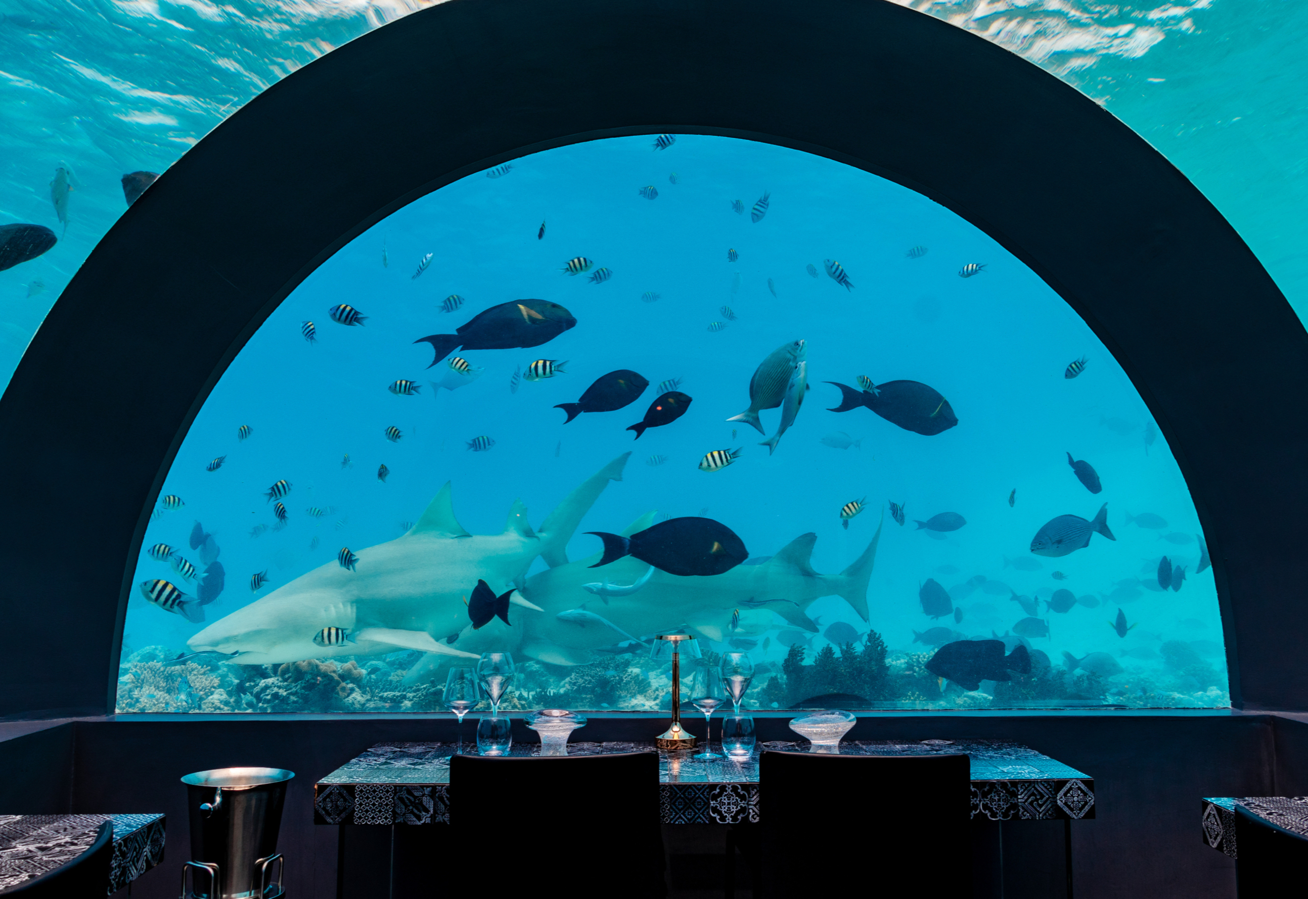 H2O Unterwasserrestaurant
