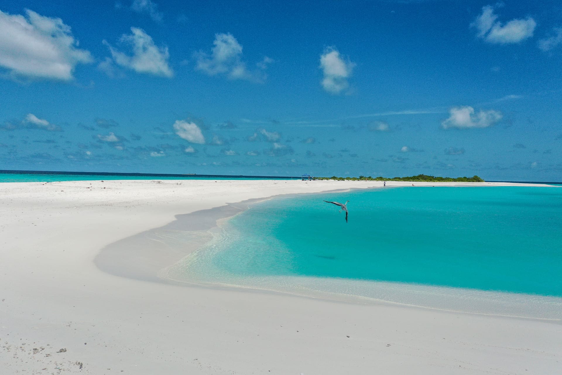 Sandbank
