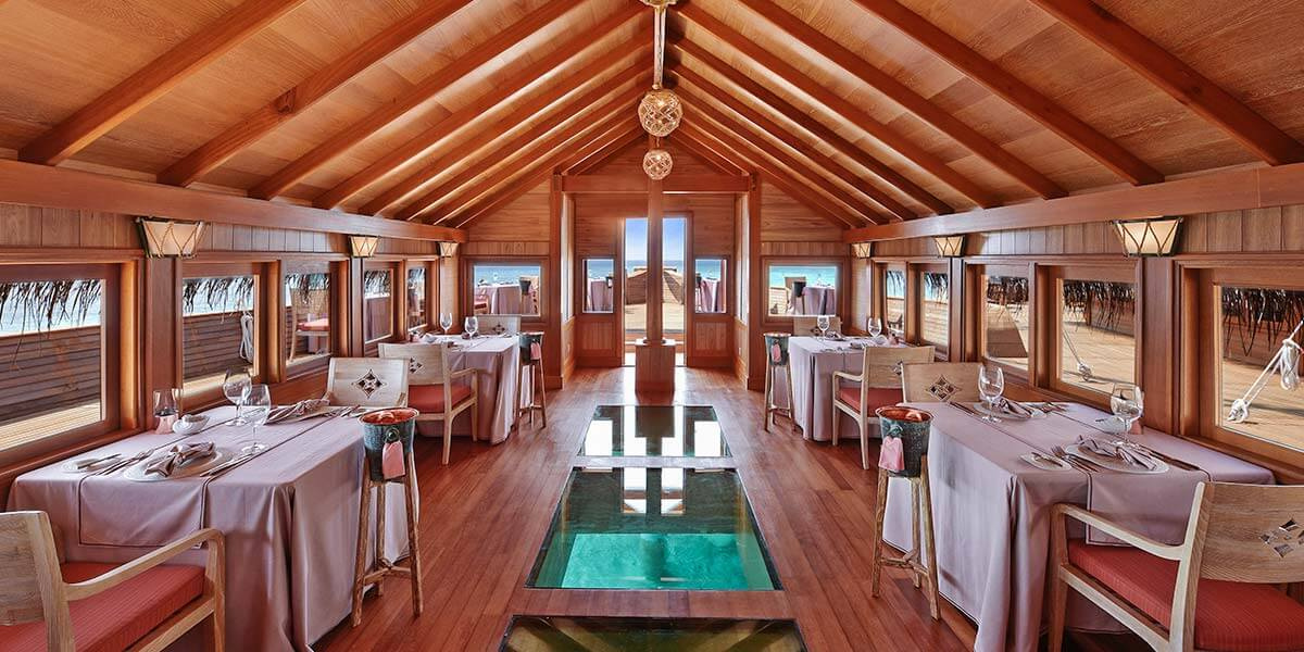 Milaidhoo-Galeriehighlight 10