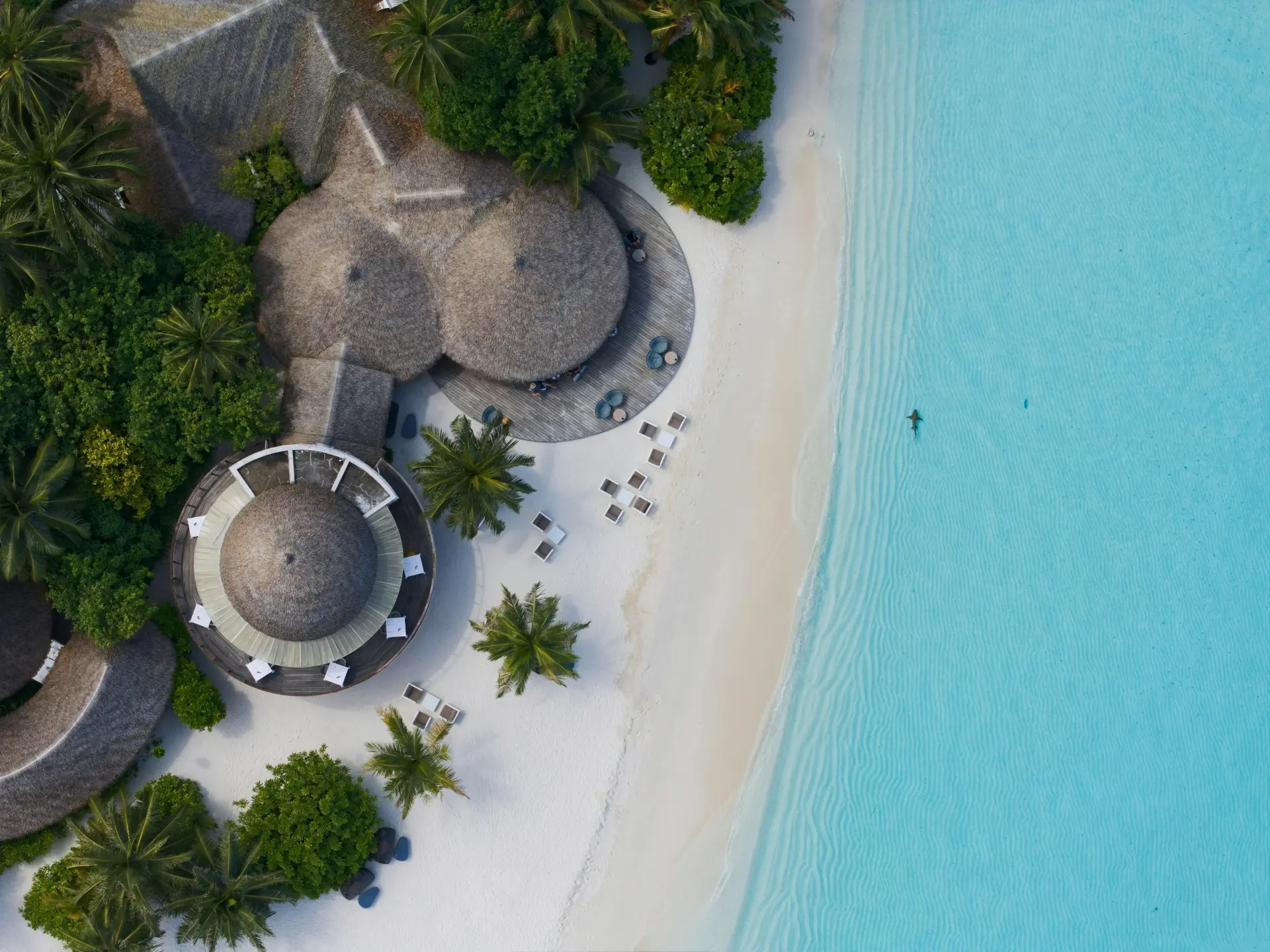 Insel und Lagune aus der Luft