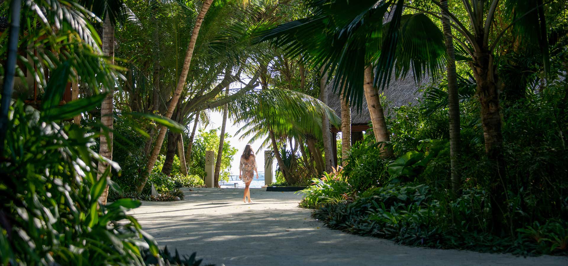 Baros Maldives – Tropische Vegetation