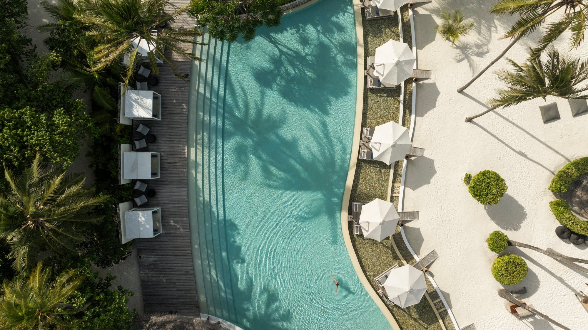 Constance Halaveli – Pool zwischen tropischem Grün
