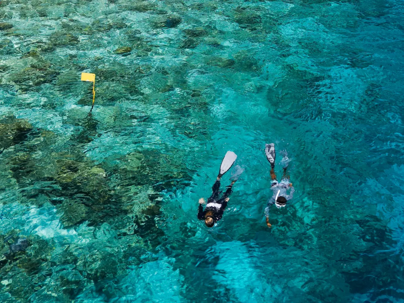 Schnorcheln im klaren Wasser
