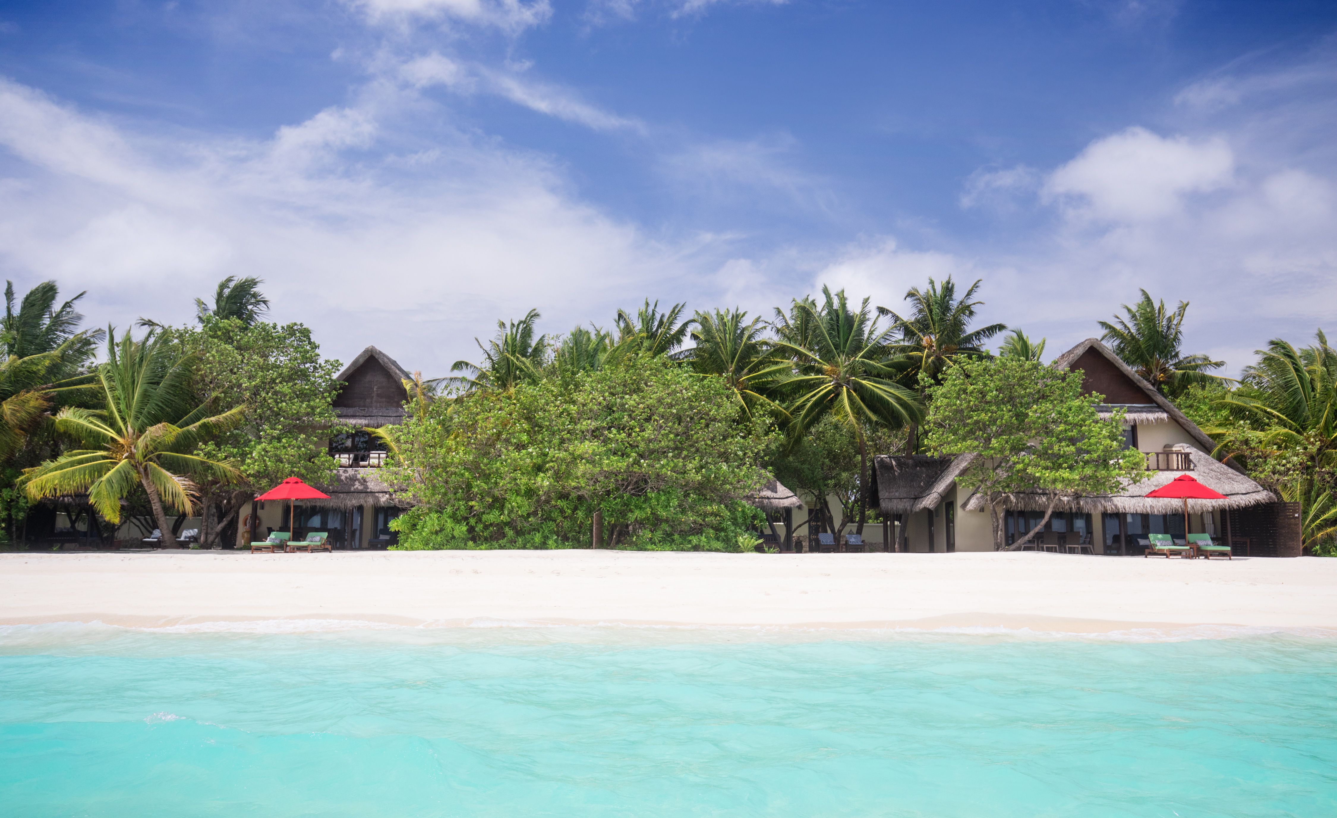 Strand und tropische Vegetation auf Emboodhu Finolhu