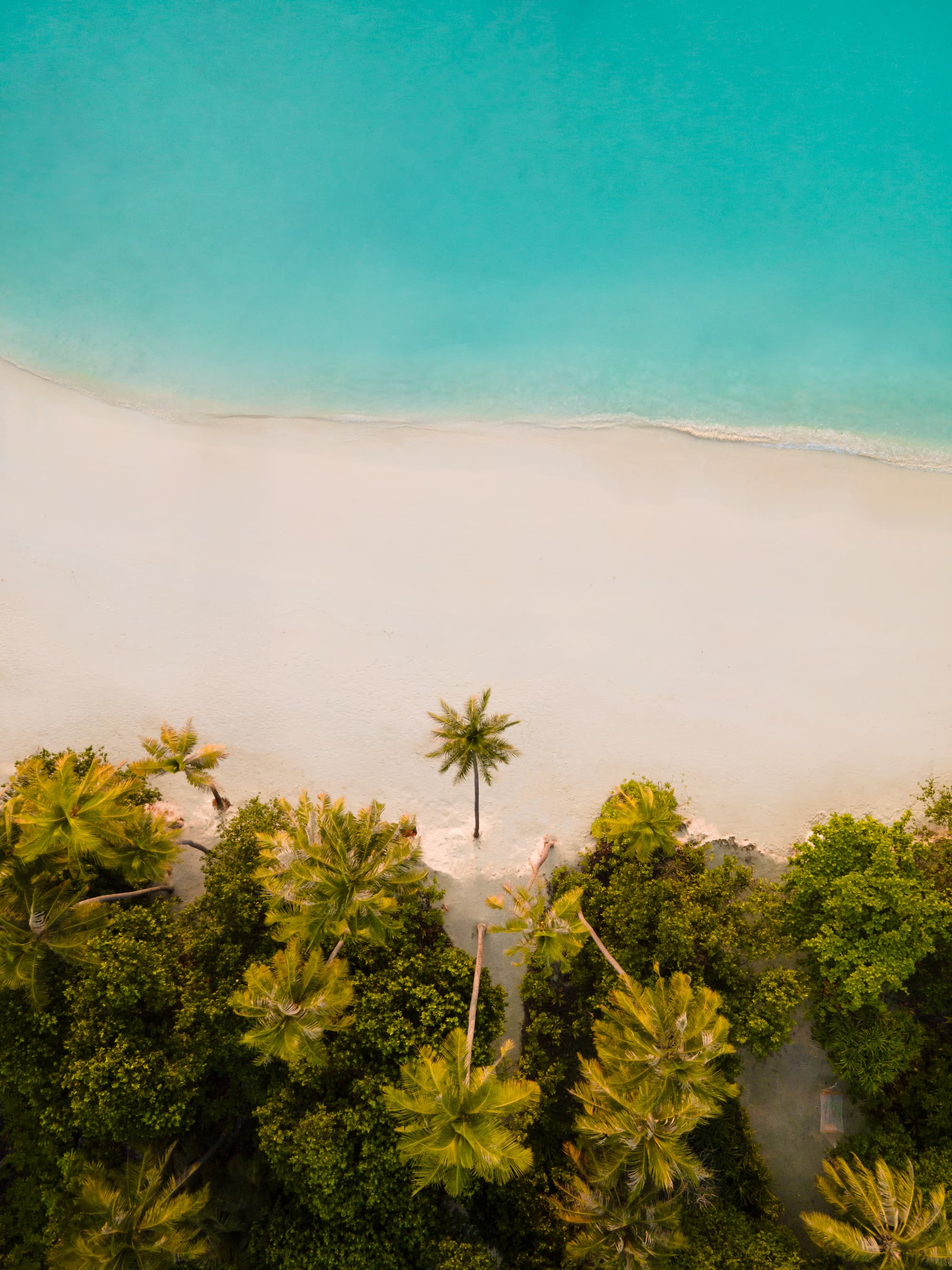 Sandstrand und tropische Vegetation auf Siyam World