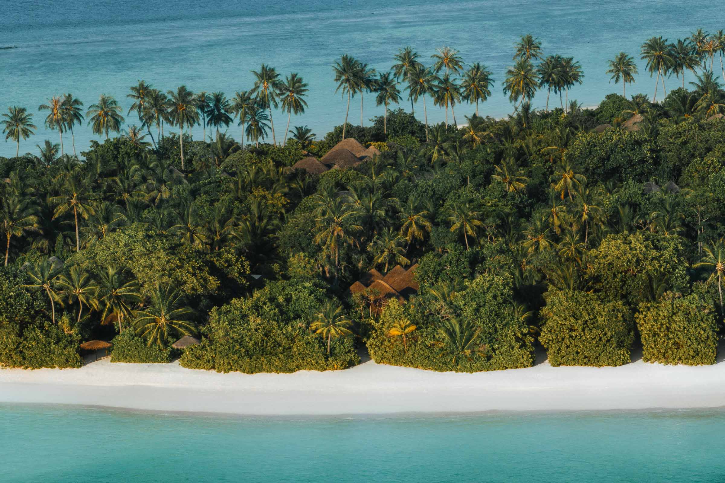 Palmenbestandener Strand auf Iru Fushi
