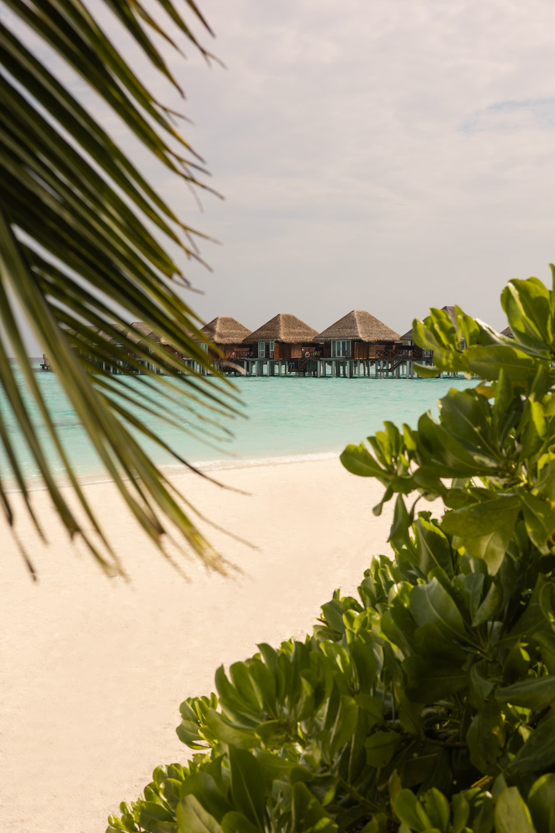 Strand und Overwater-Villen von Vilu Reef