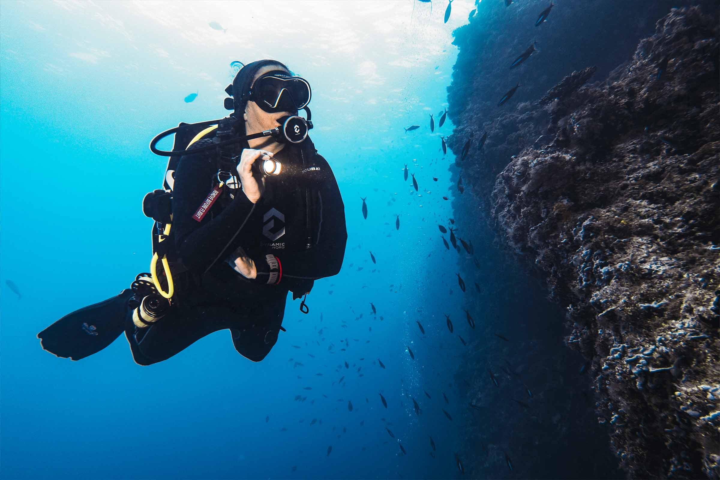 Tauchen am Nemo Reef