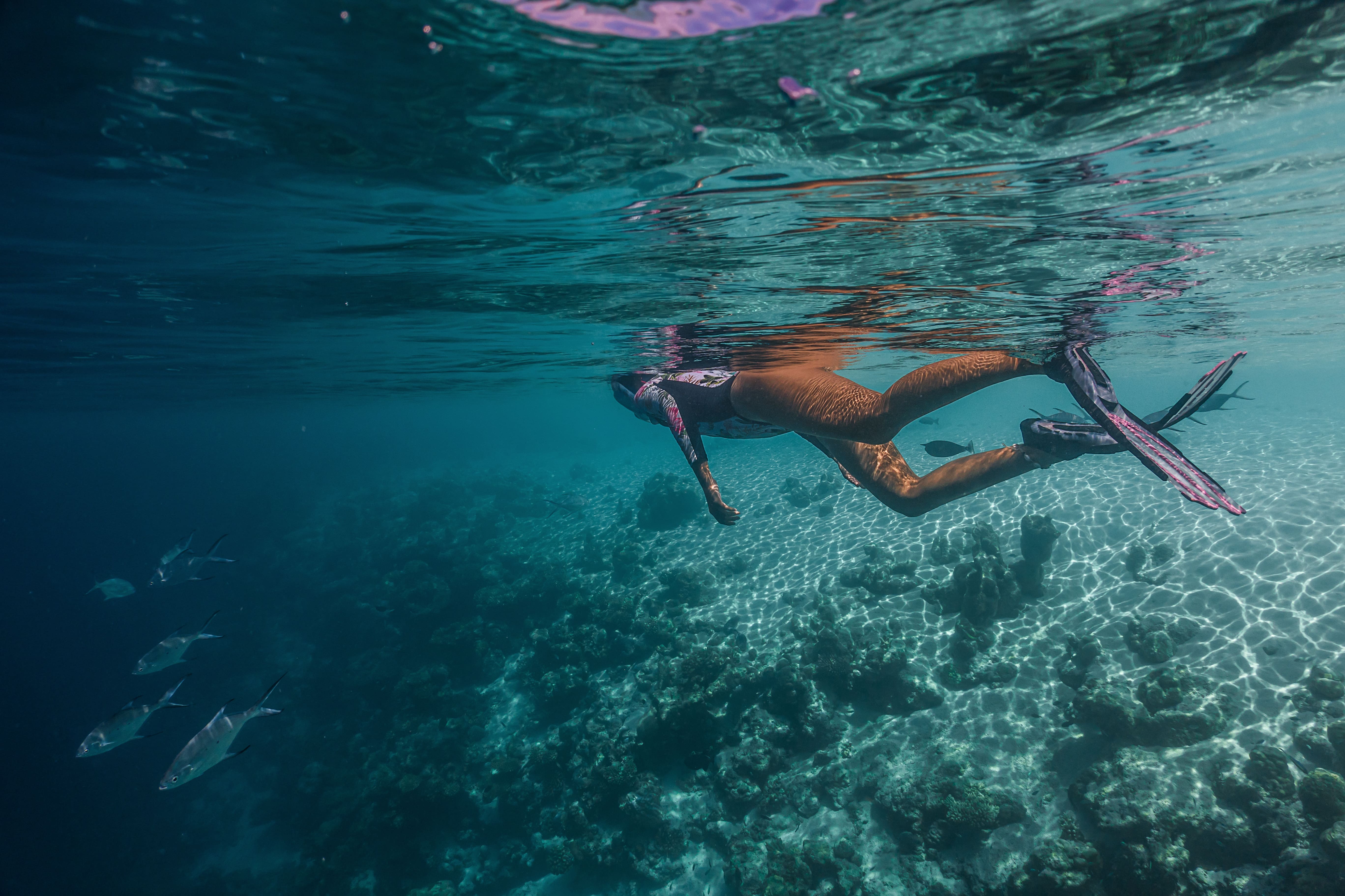 Schnorcheln im klaren Wasser