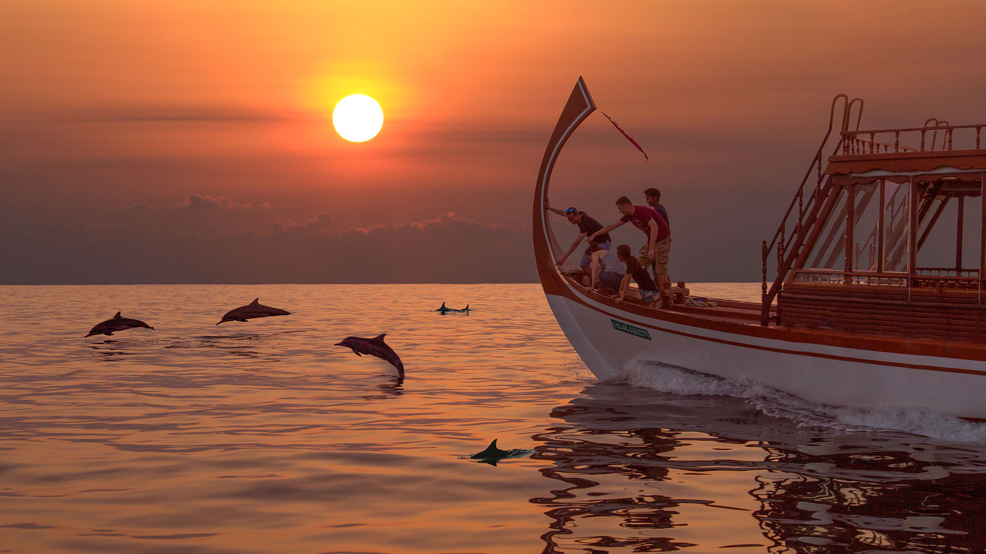 Delfine vor der Insel bei Sonnenuntergang