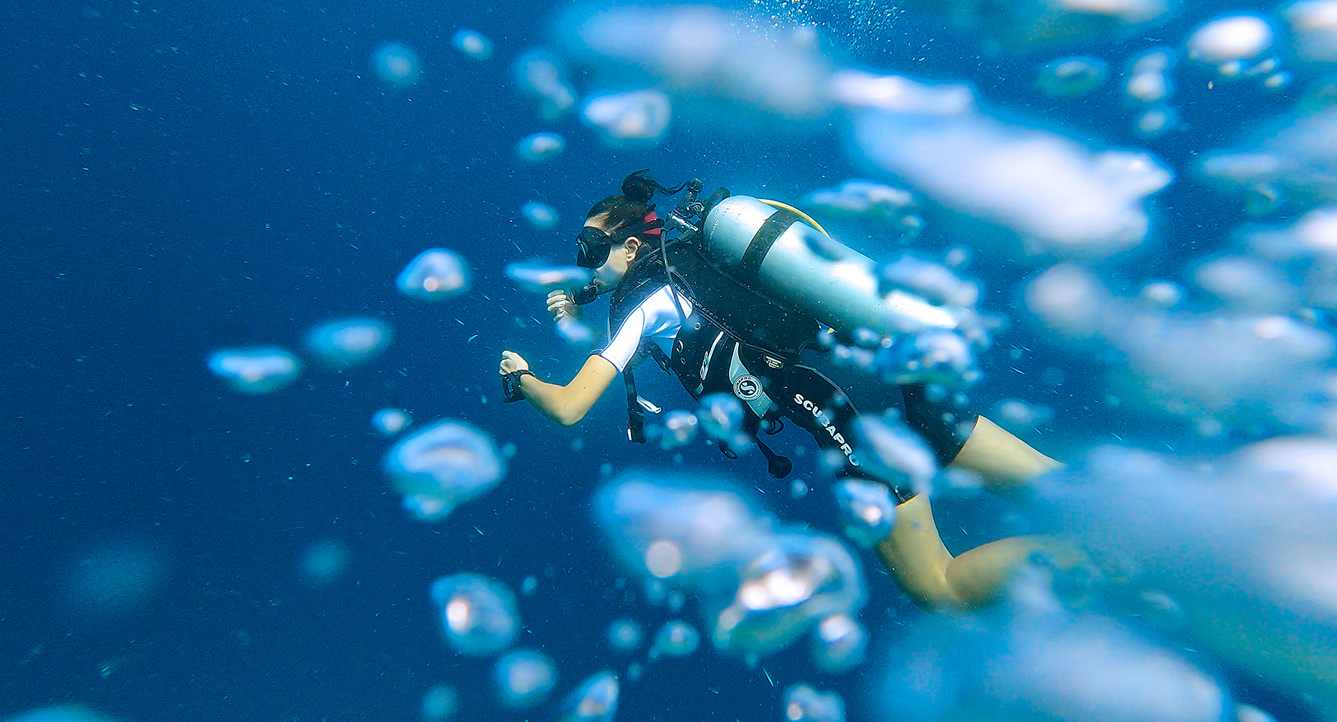 Tauchen mit Aquafanatics