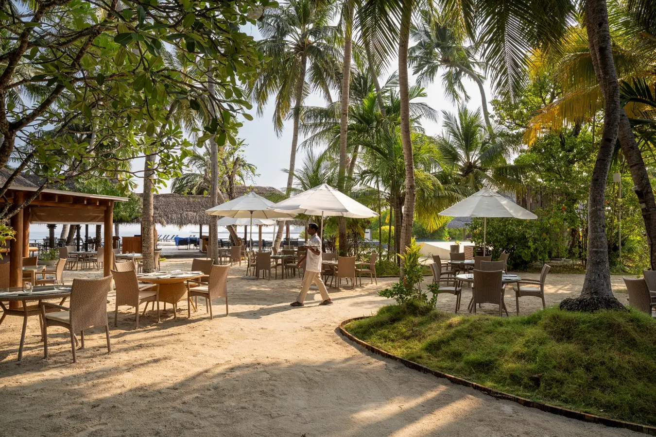 Island Coffee Shop