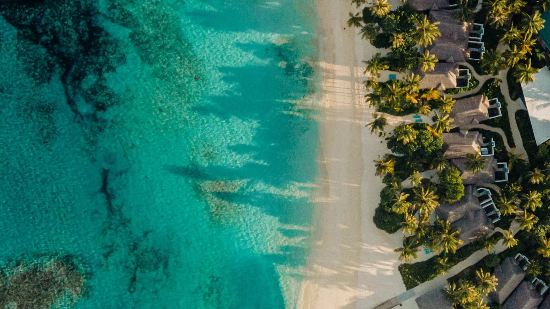 Strand, Palmen und Lagune