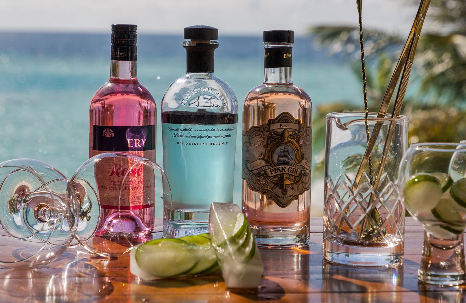 GIN IS IN
