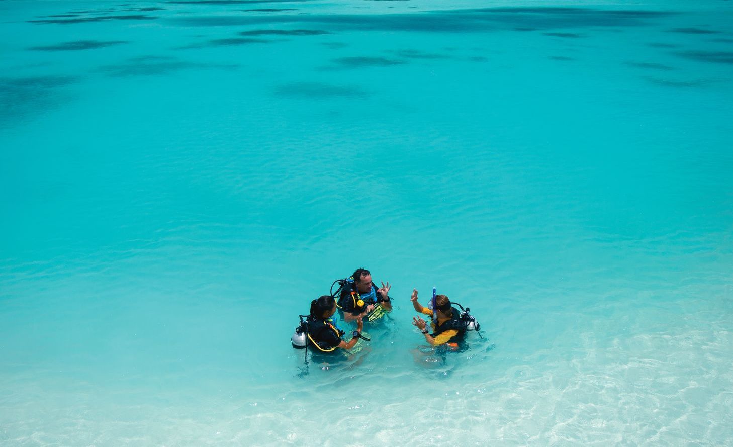 Dolphin Base Dive Center
