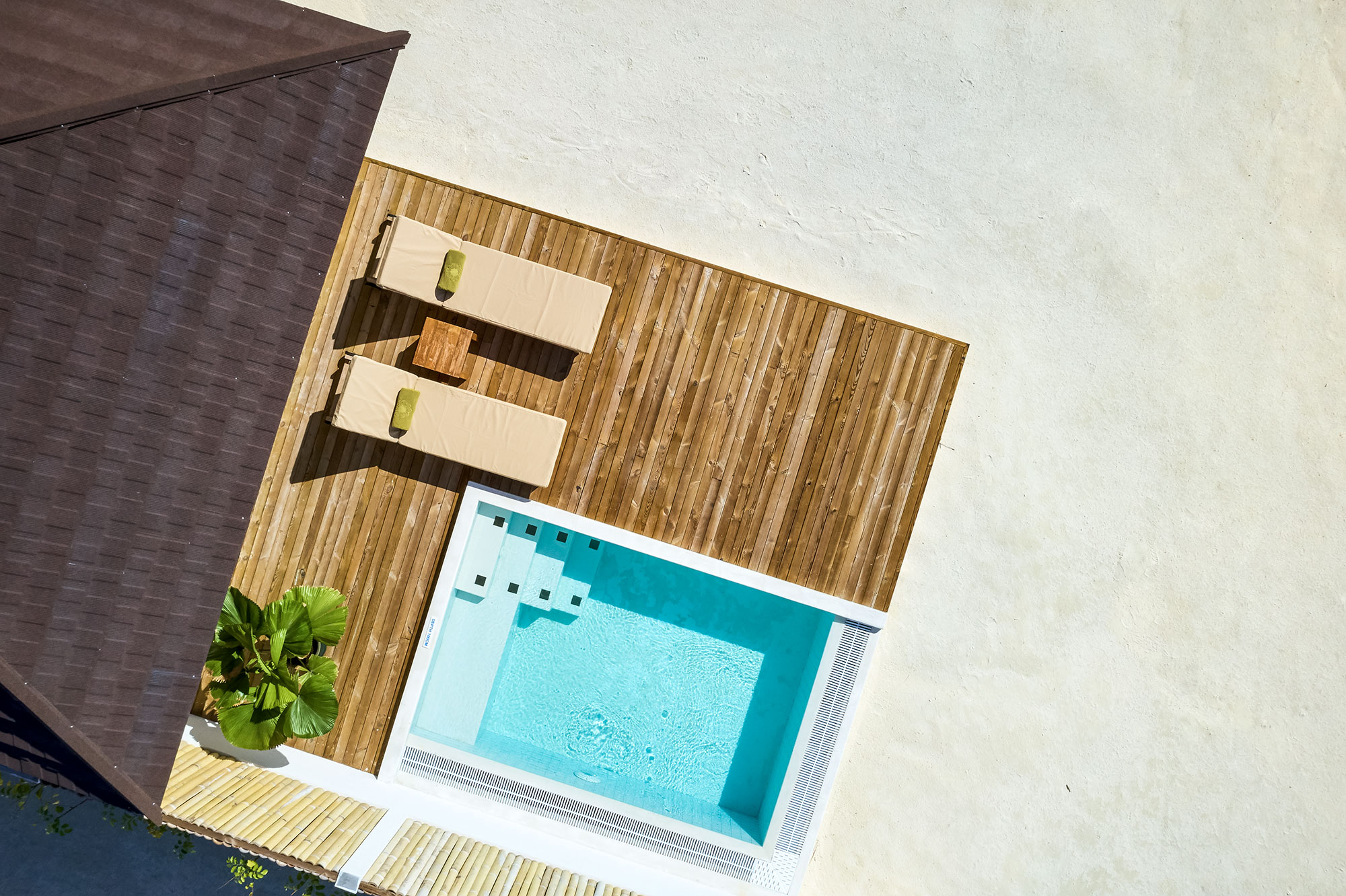 Grand-Strandvilla mit Pool - Bild 1