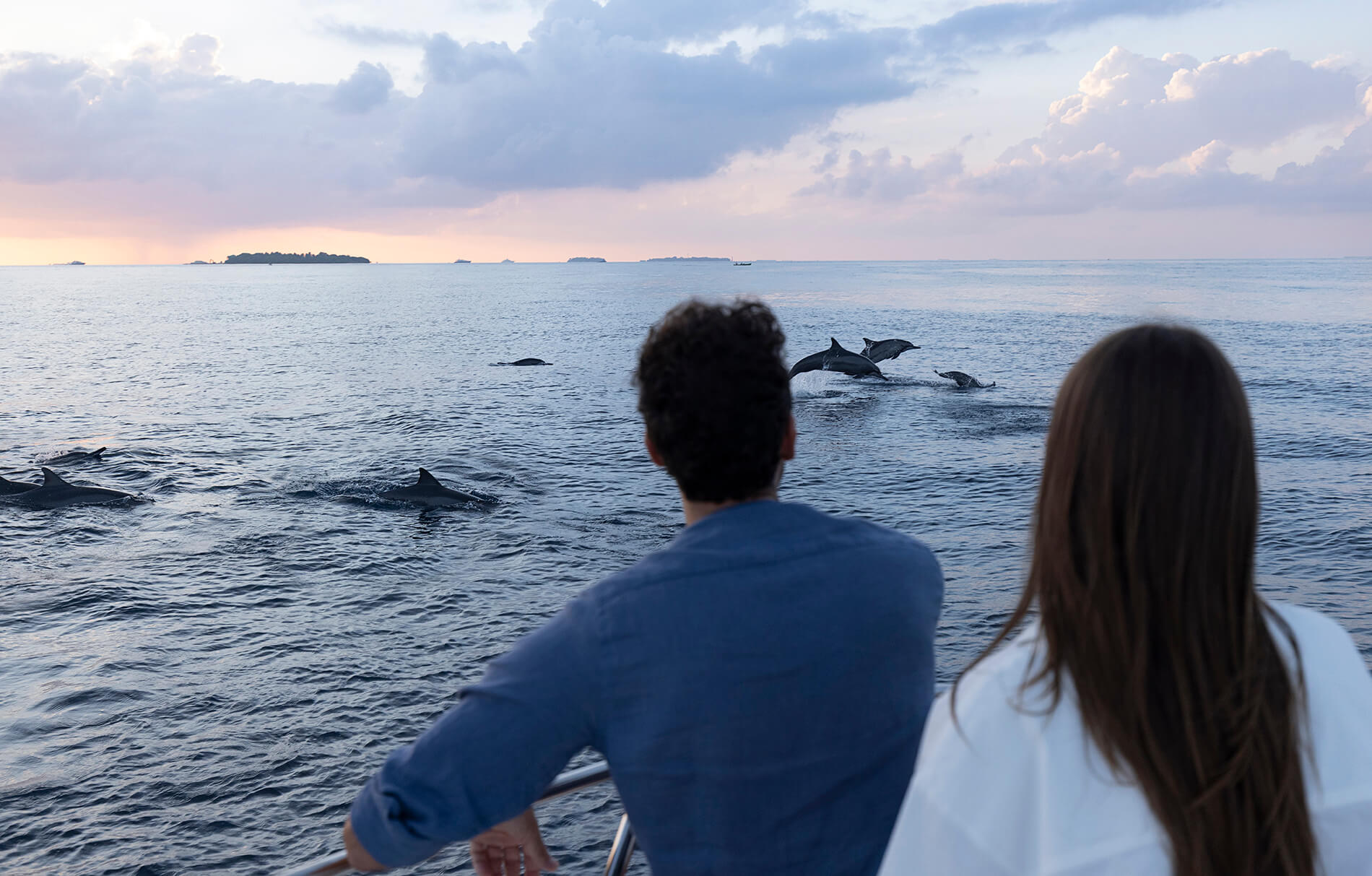 Delfine vor Huvafen Fushi