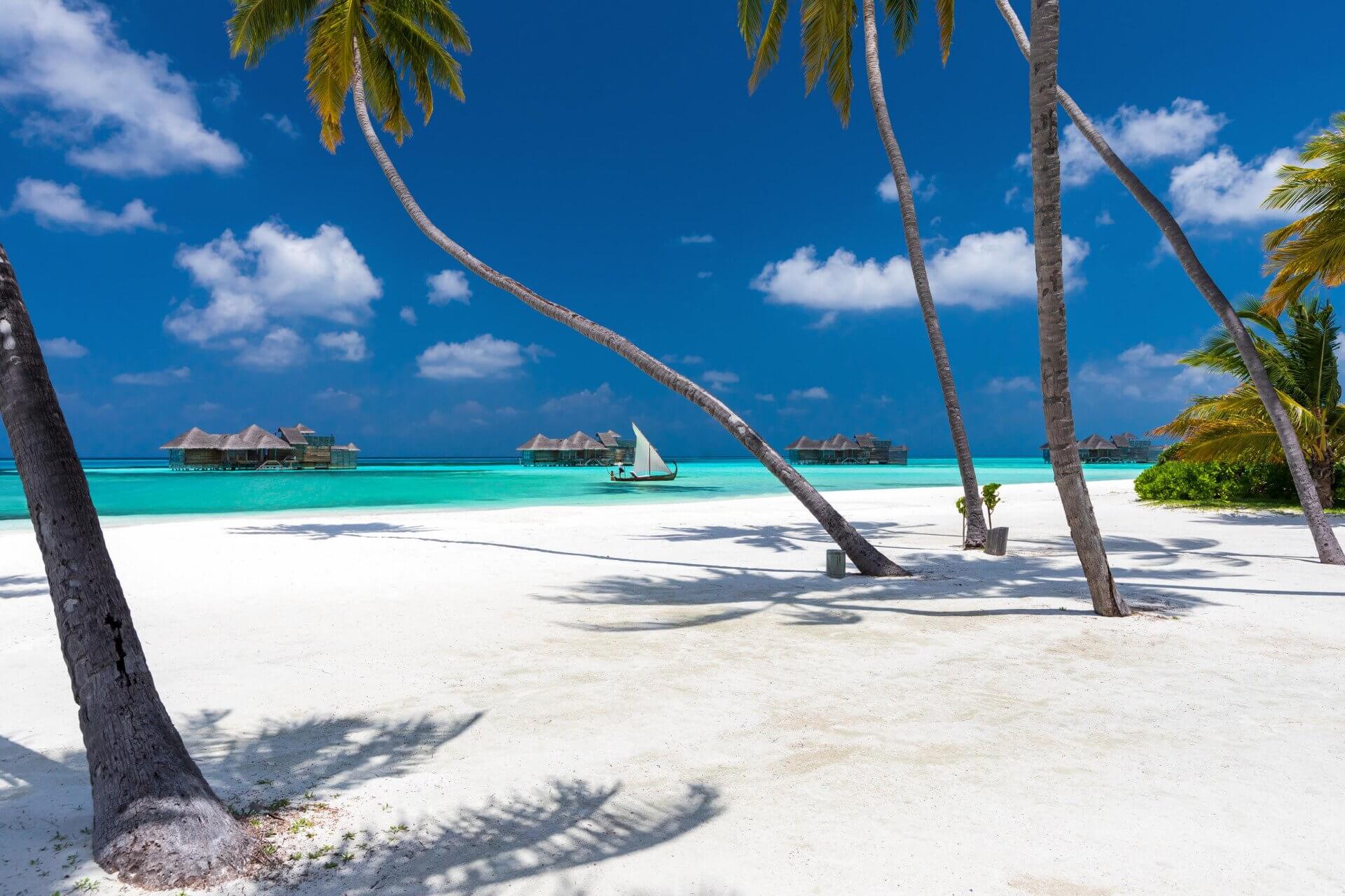 Palmenstrand und Lagune
