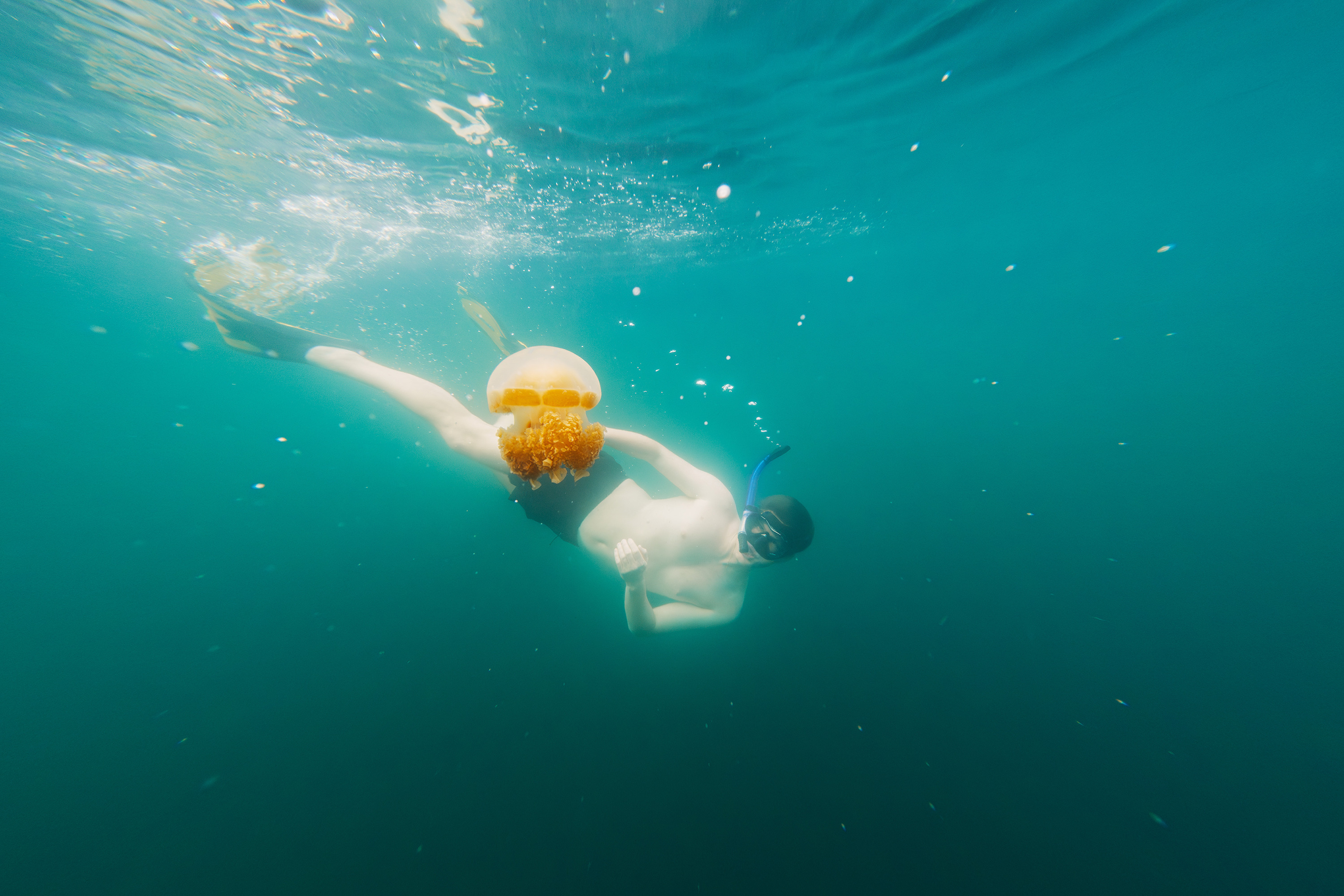 Marine Marvels in Palau